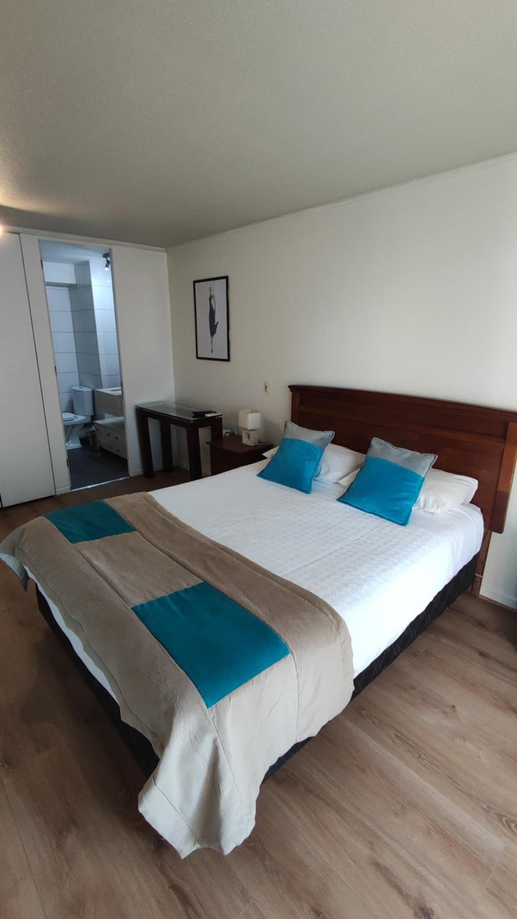 Apart Lyon Suite, Santiago, photo 3