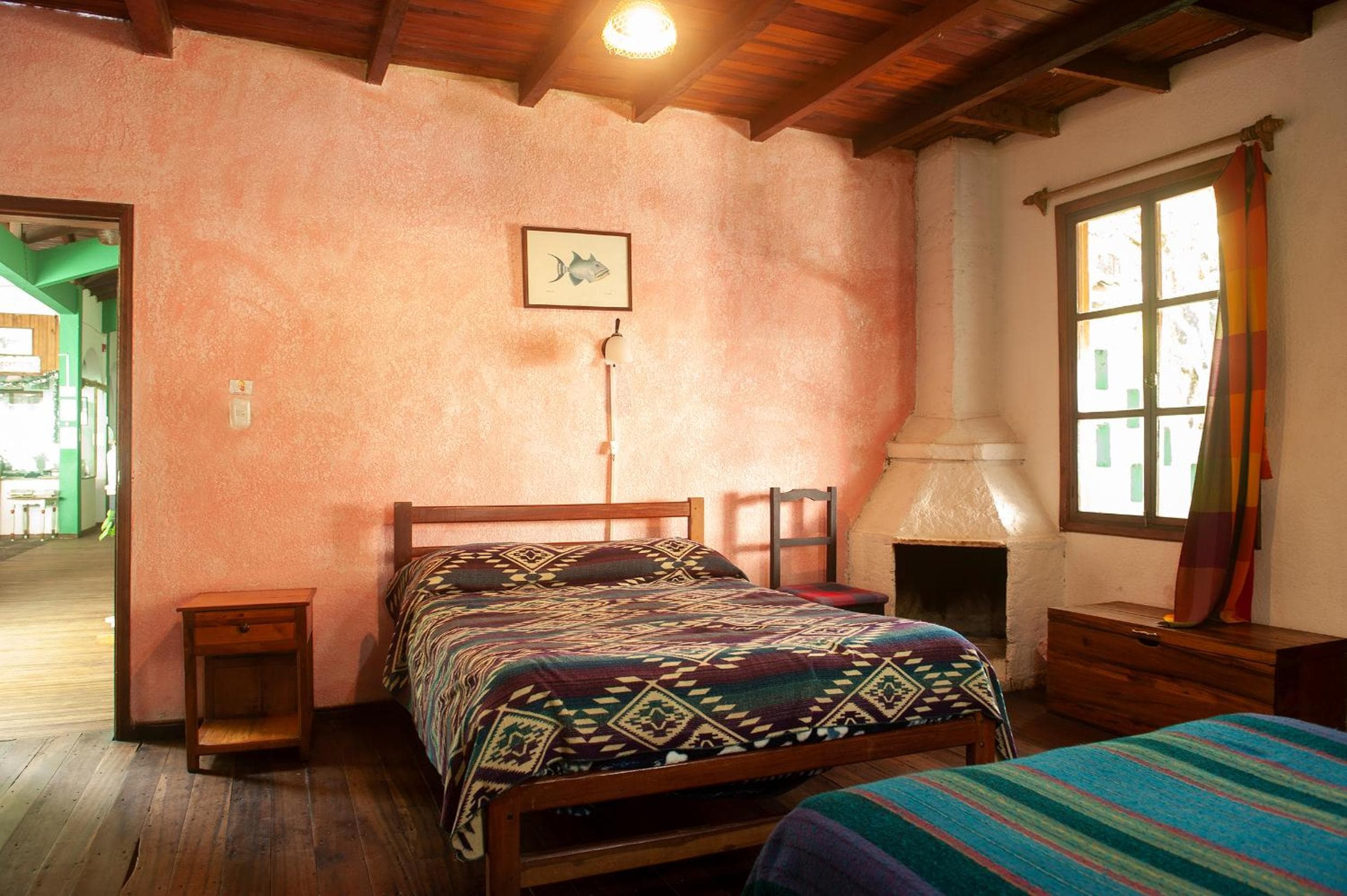 Le Petit Jardin, Baños, photo 3