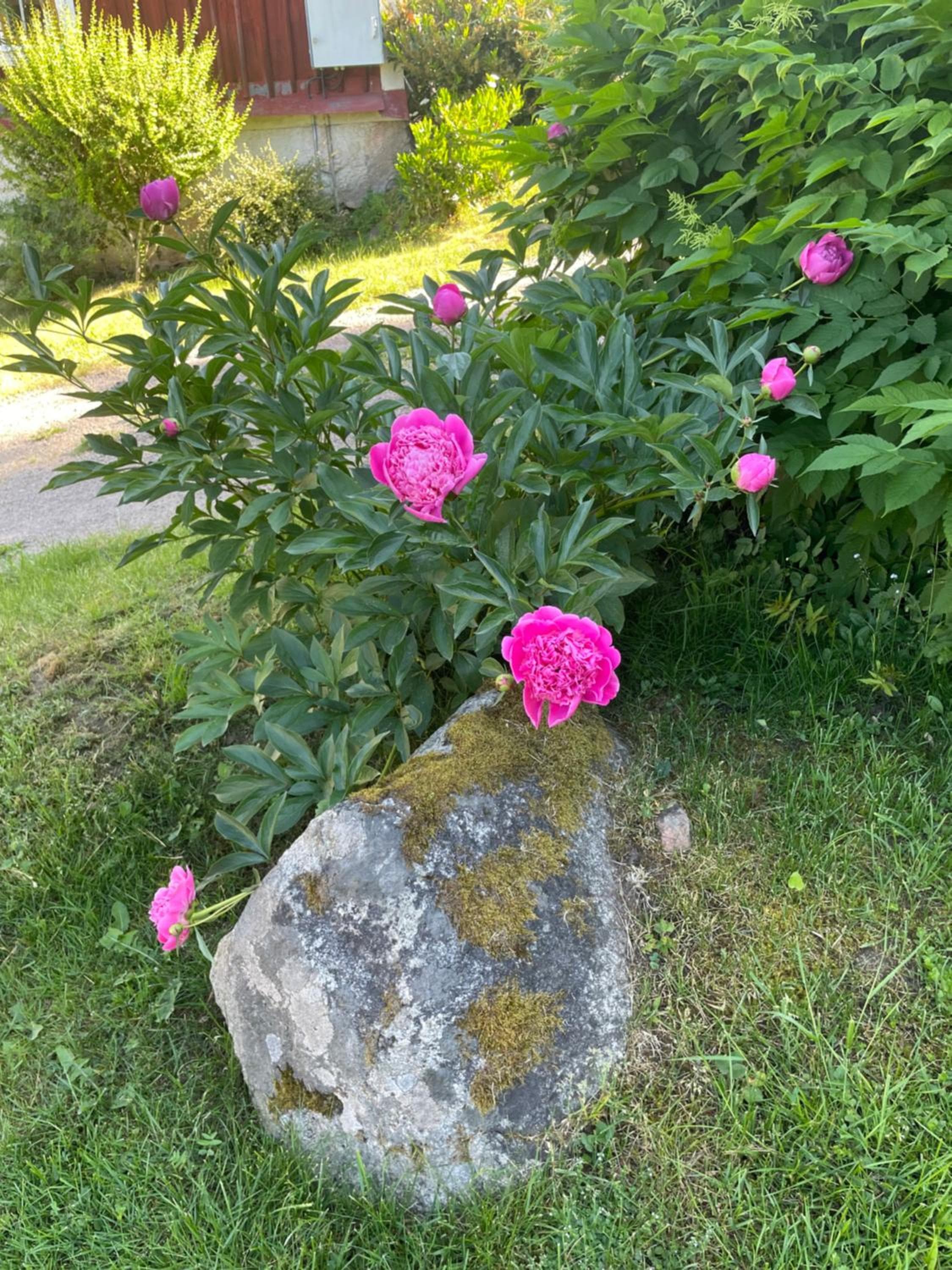 Unikt gårdshus i Gränna, Gränna, photo 5