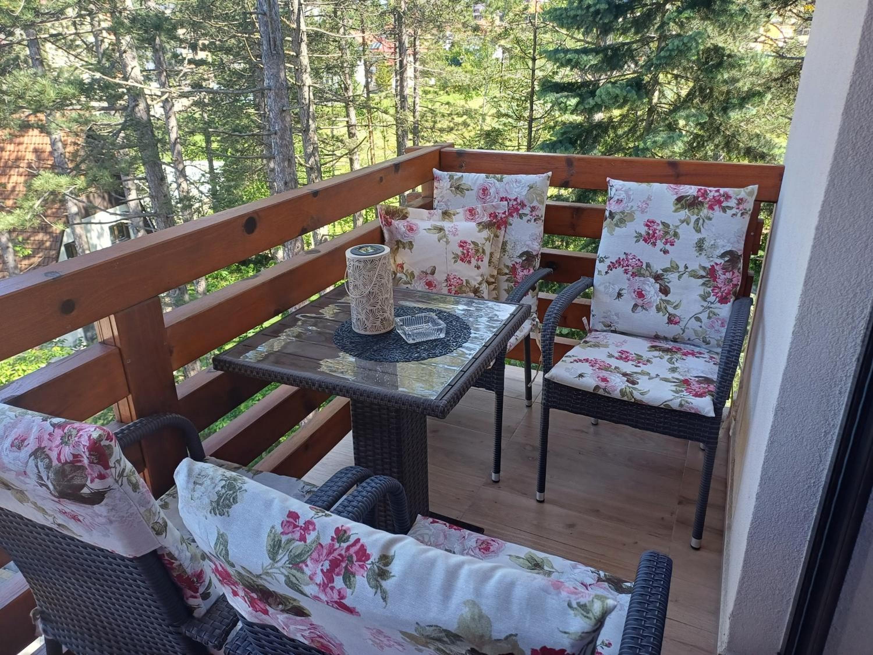 Apartman Nana Svetogorska 19 ,stan 17, Zlatibor, photo 6