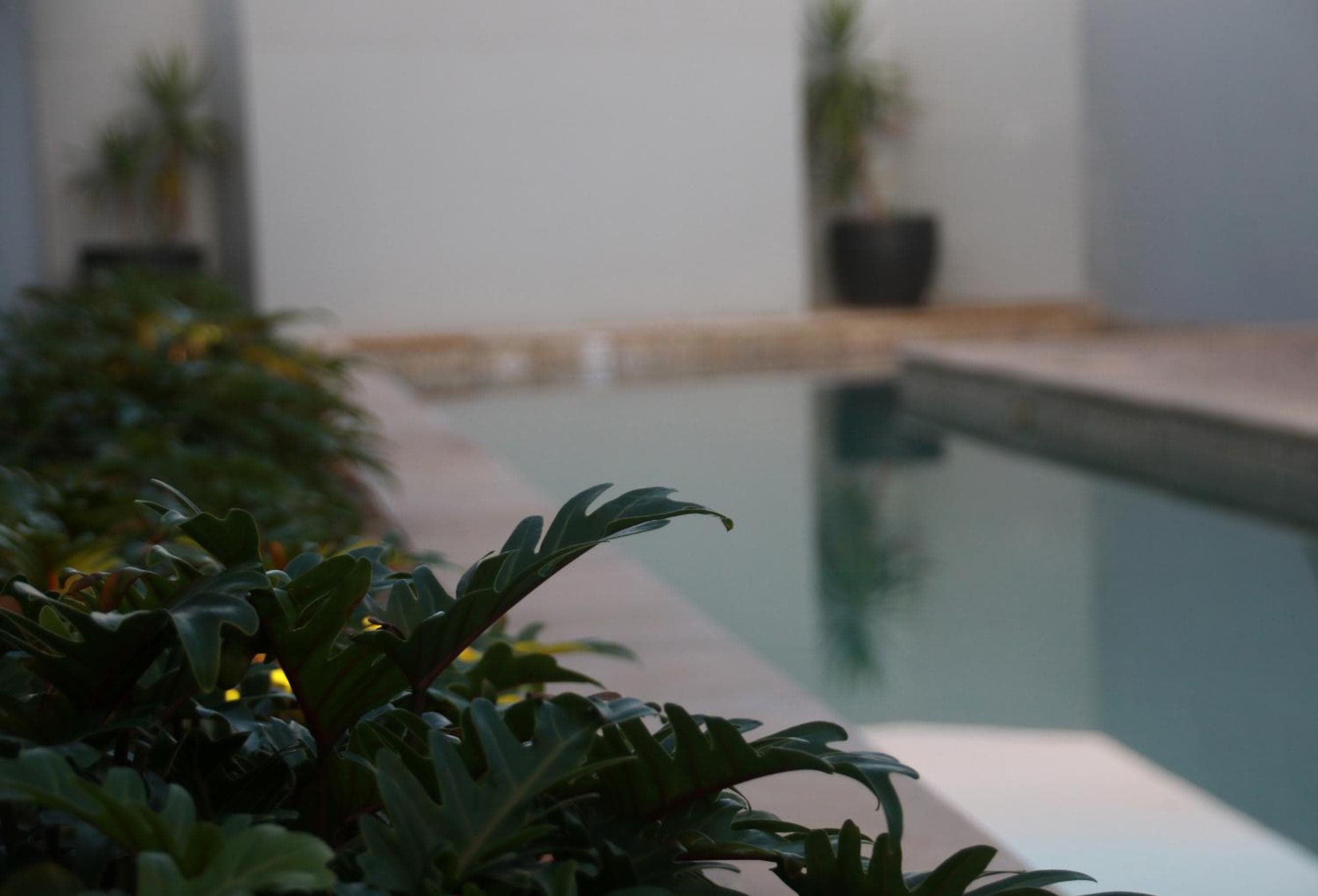 Lennox Holiday Apartments, Lennox Head, photo 4