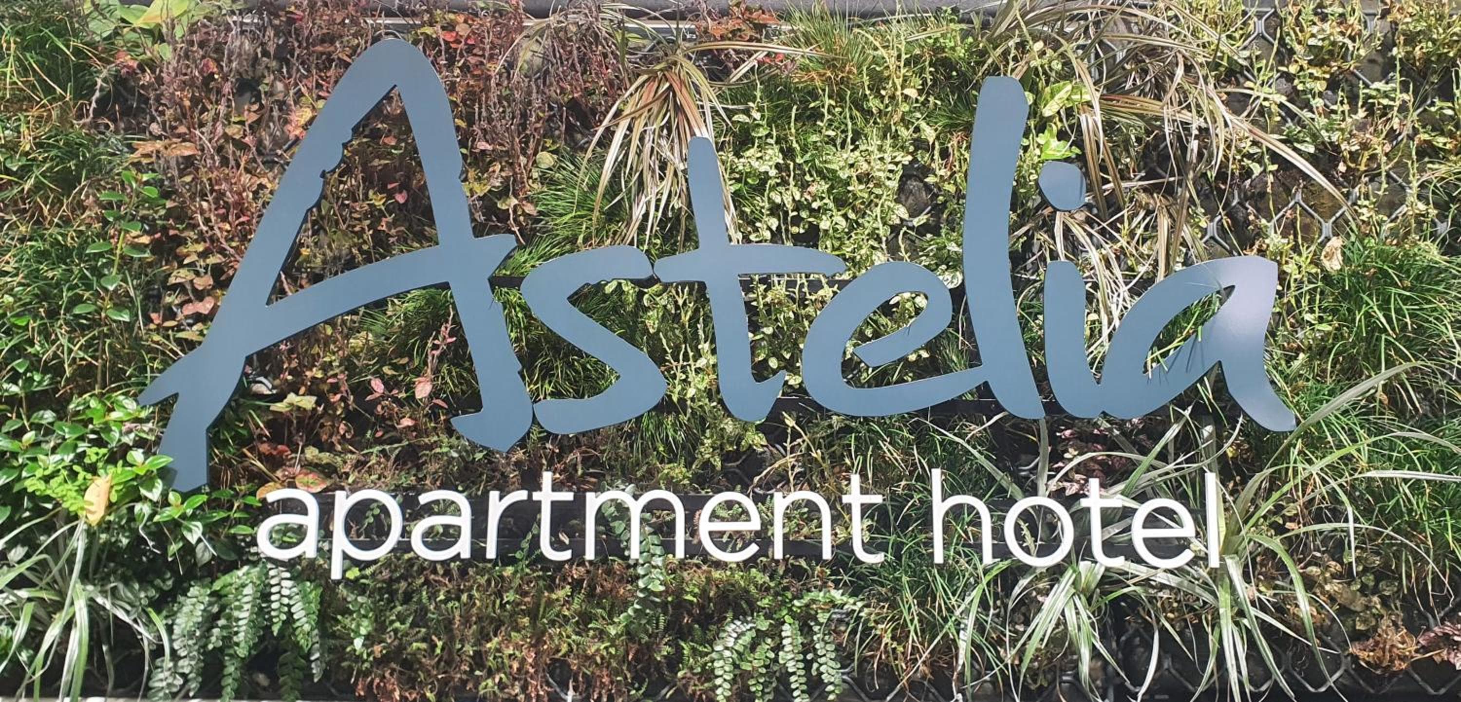 Astelia Apartment Hotel, Wellington, photo 4
