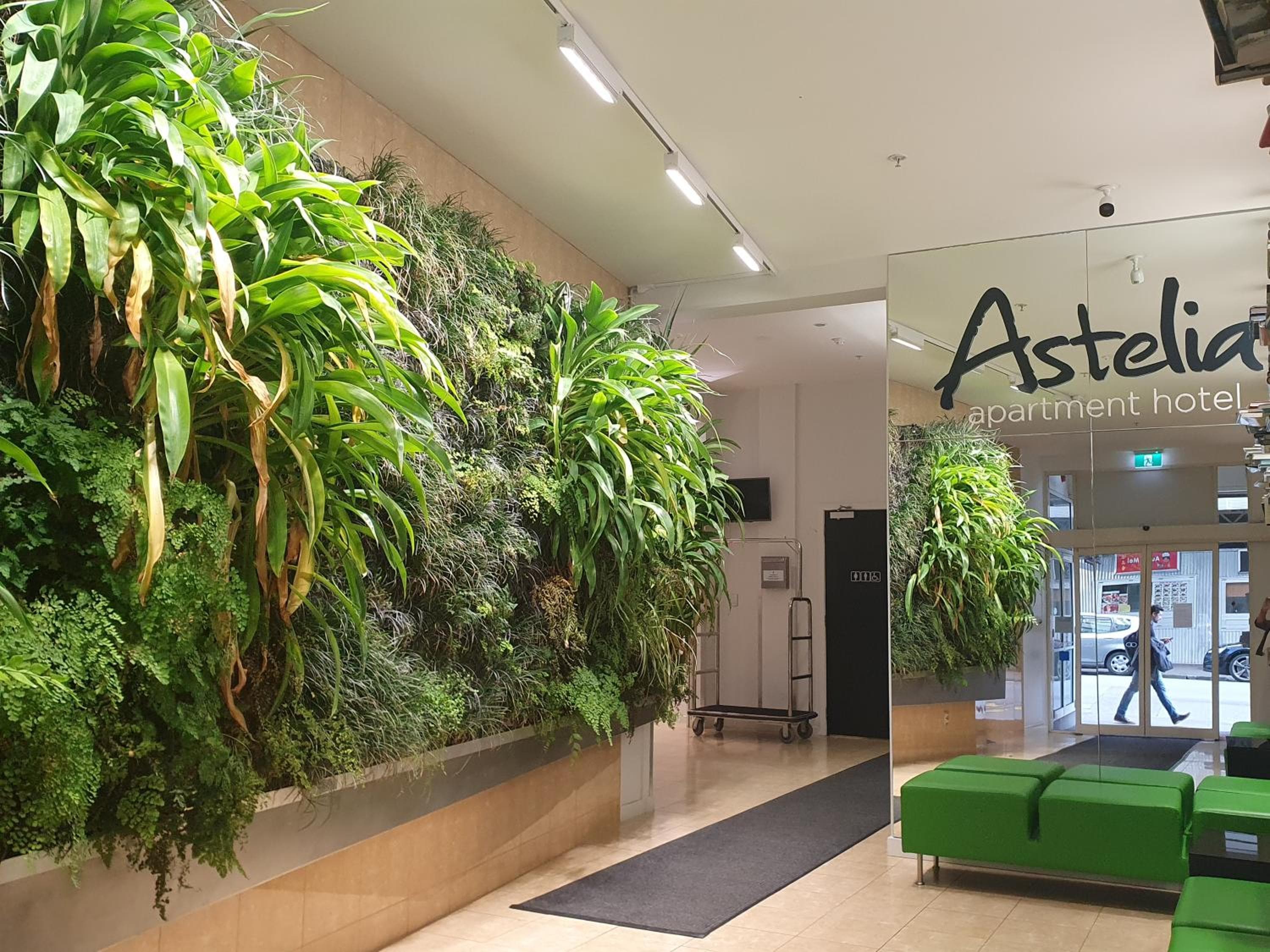 Astelia Apartment Hotel, Wellington, photo 6