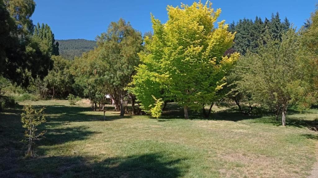 Rupu Pehuen, San Carlos de Bariloche, photo 5