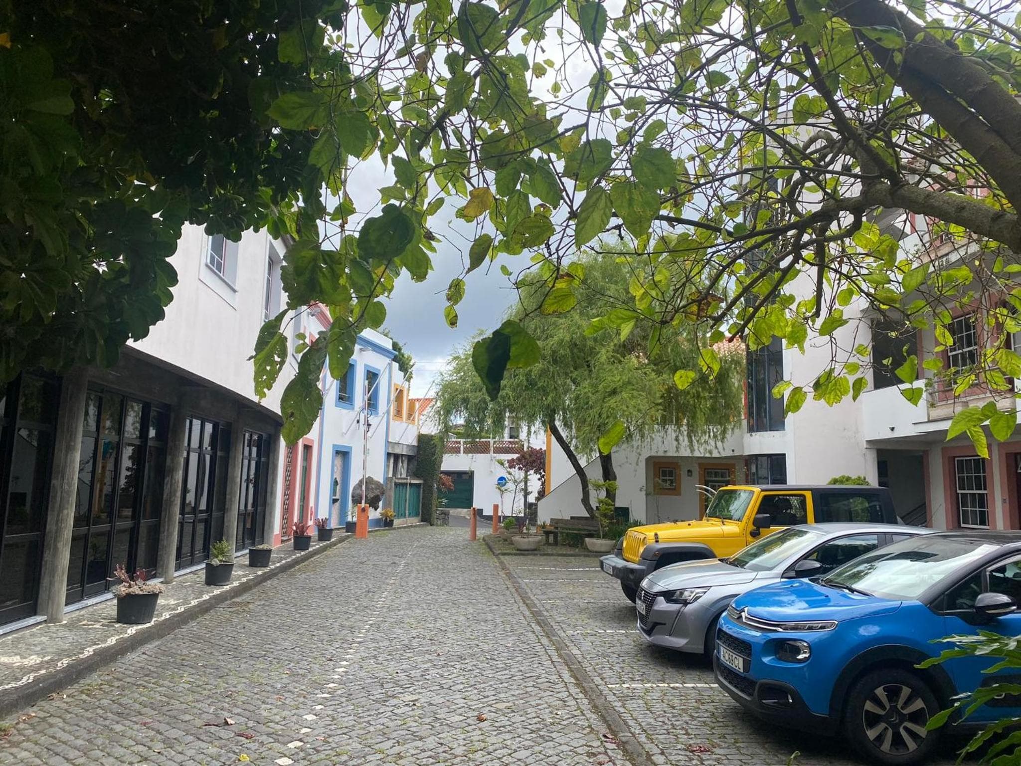 Apartamentos Turisticos Verdemar, Horta, photo 6