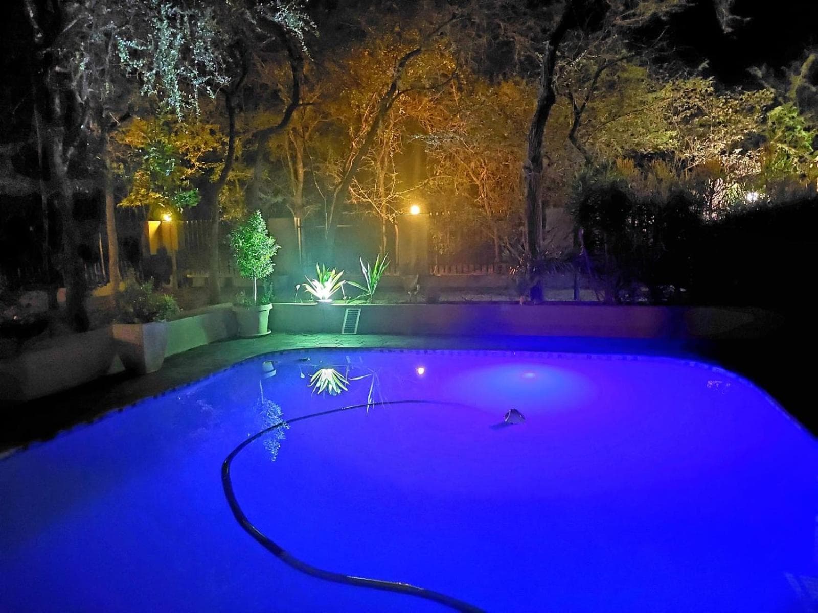 Kruger Bush Retreat, Marloth Park, photo 4