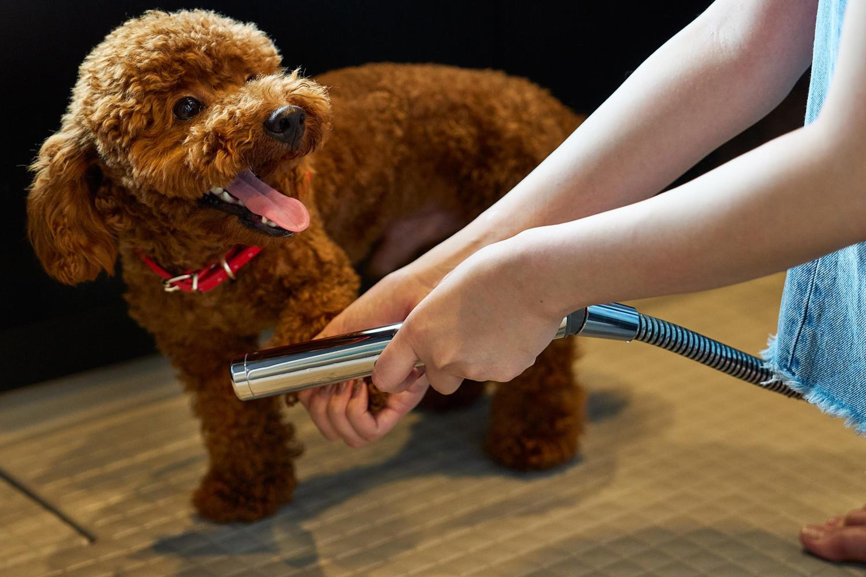 ALFACIO RIVERSIDE STAY HAKATA, Fukuoka, photo 5