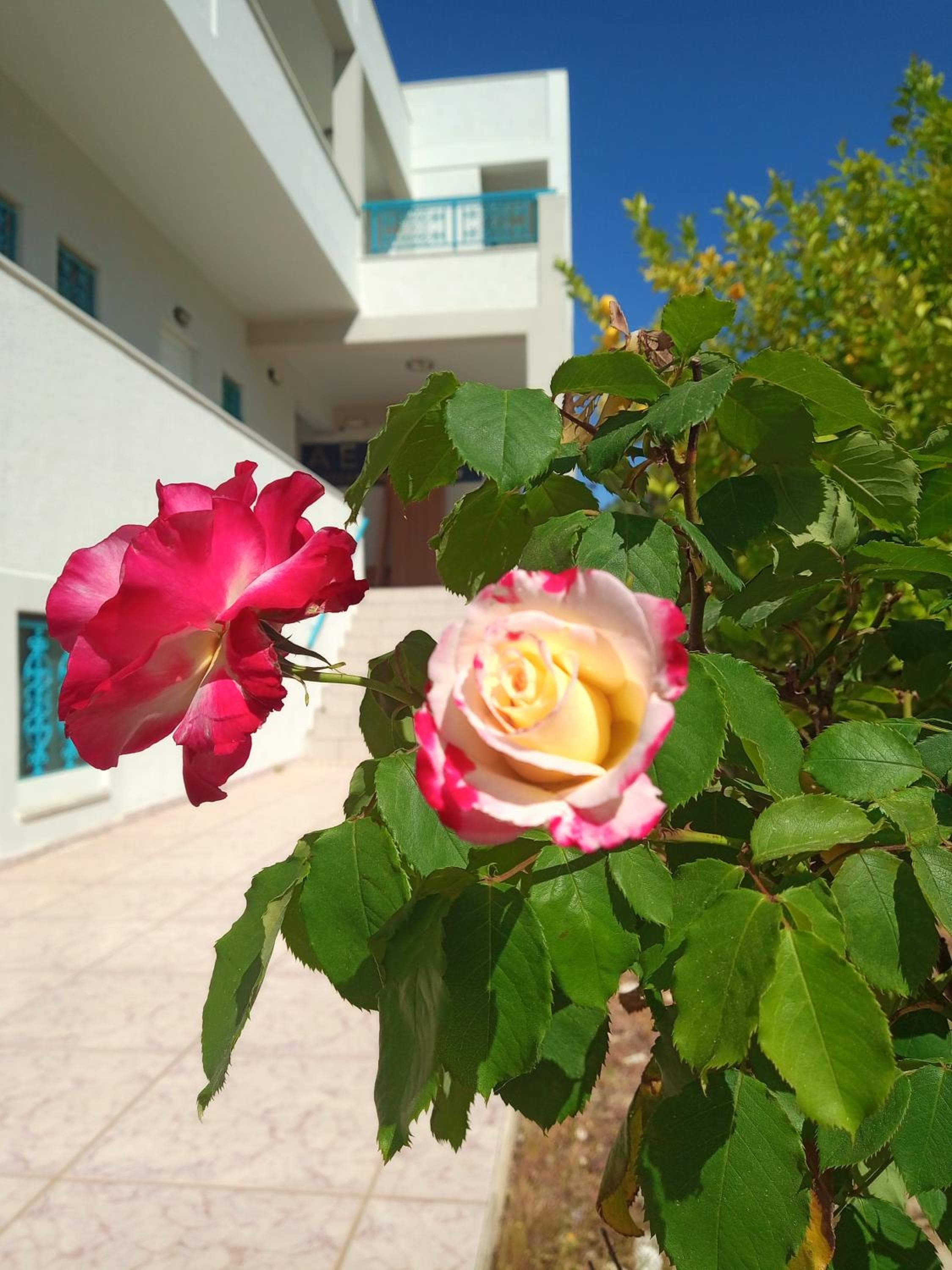 Ero Aegina Hospitality, Souvala