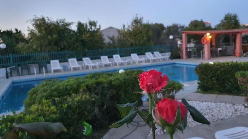 Ero Aegina Hospitality, Souvala, photo 4