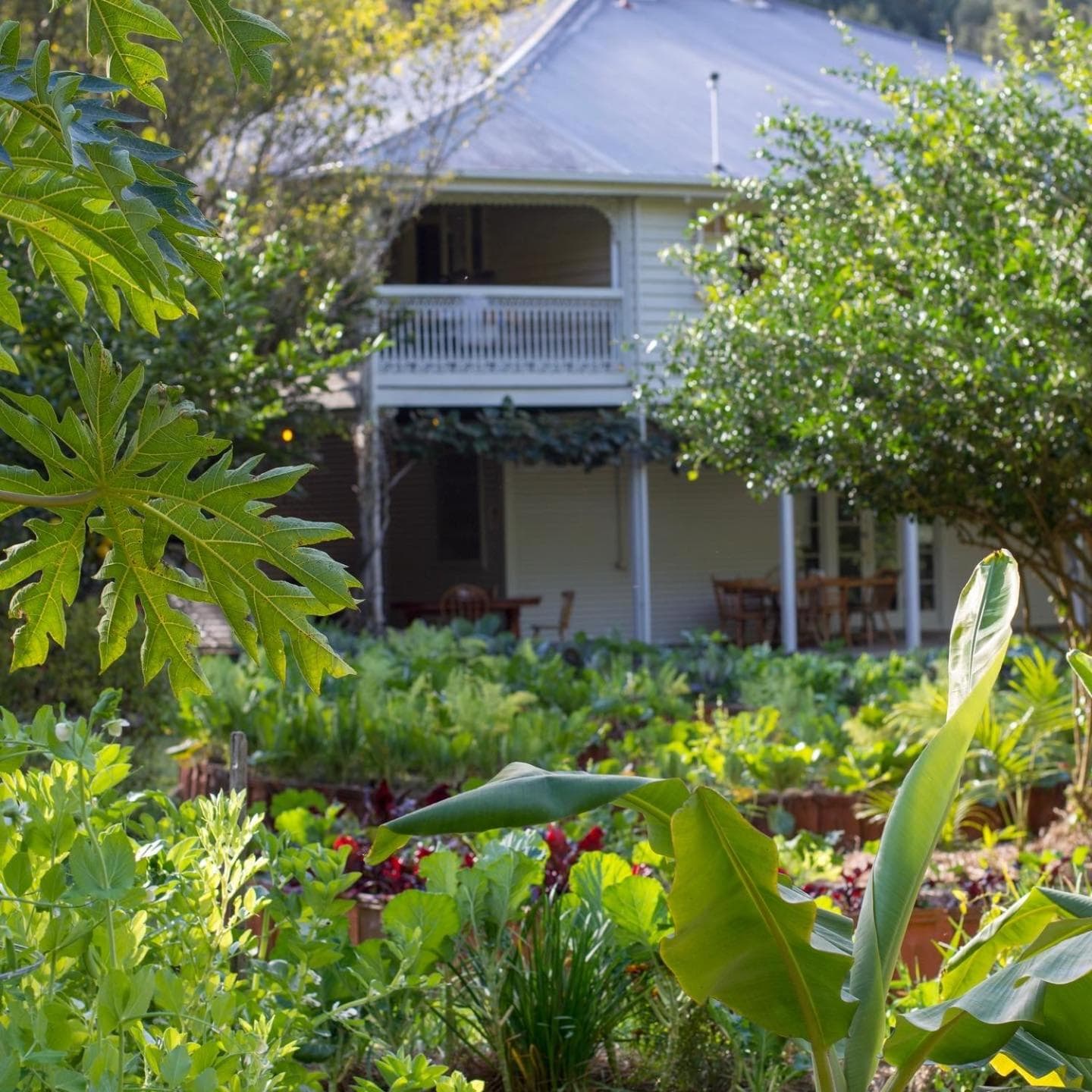 Mavis's Cabins @ Mt Warning, Uki, photo 3