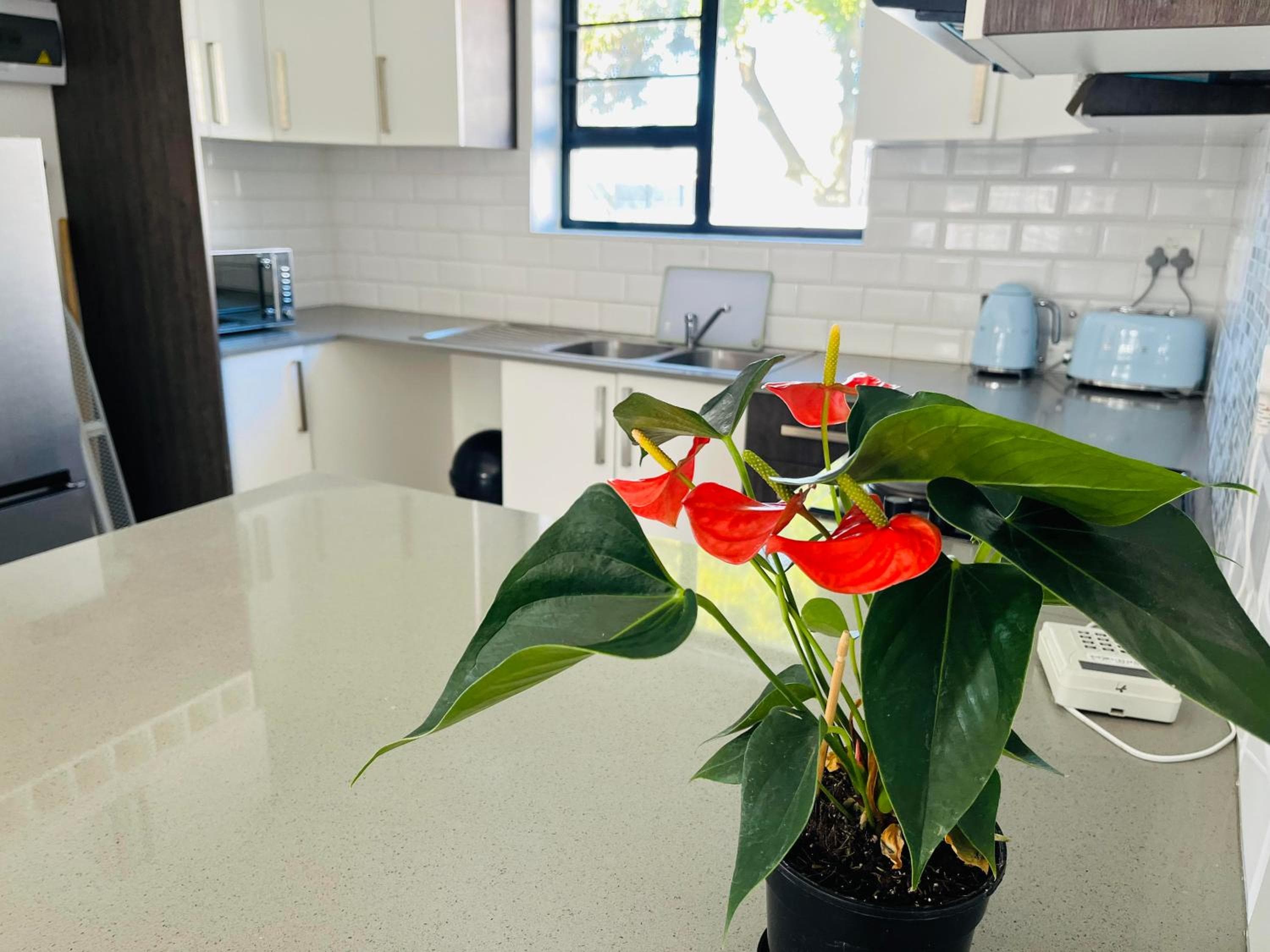 Mount Pleasant Suites, Port Elizabeth, photo 2