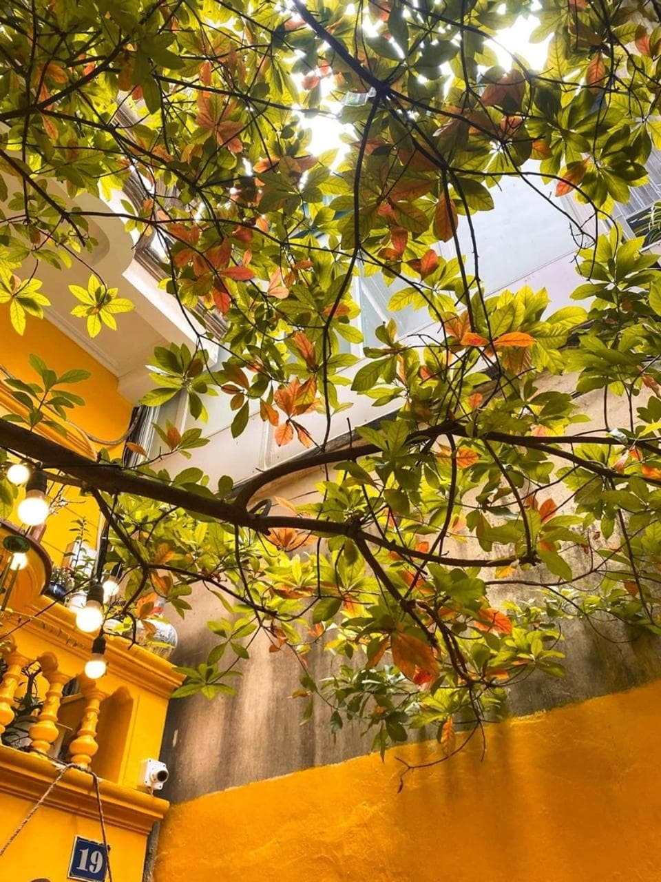 Morri Homestay - Quán Thánh, Hanoi, photo 3
