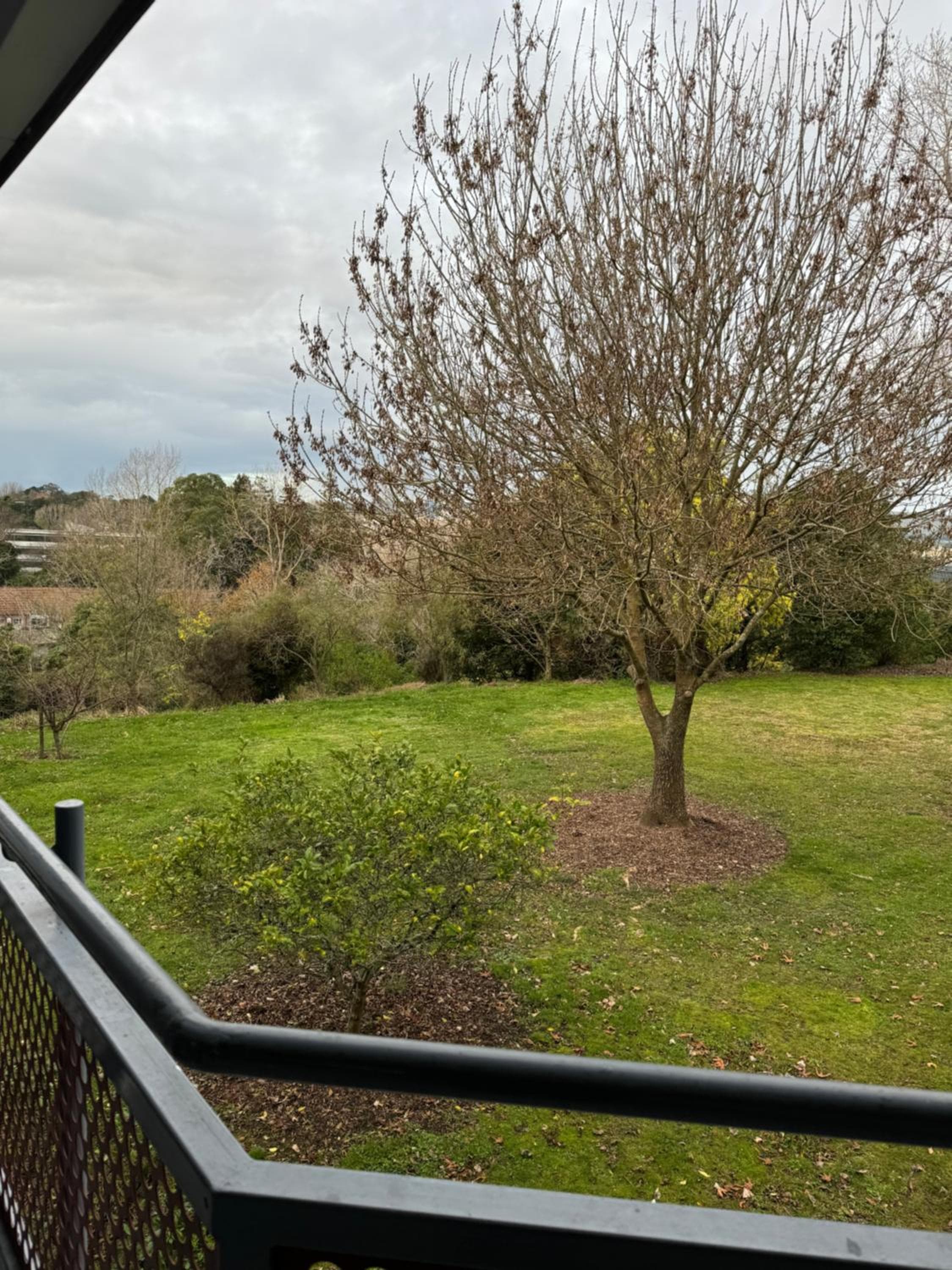 Delight Accommodation, Palmerston North, photo 2