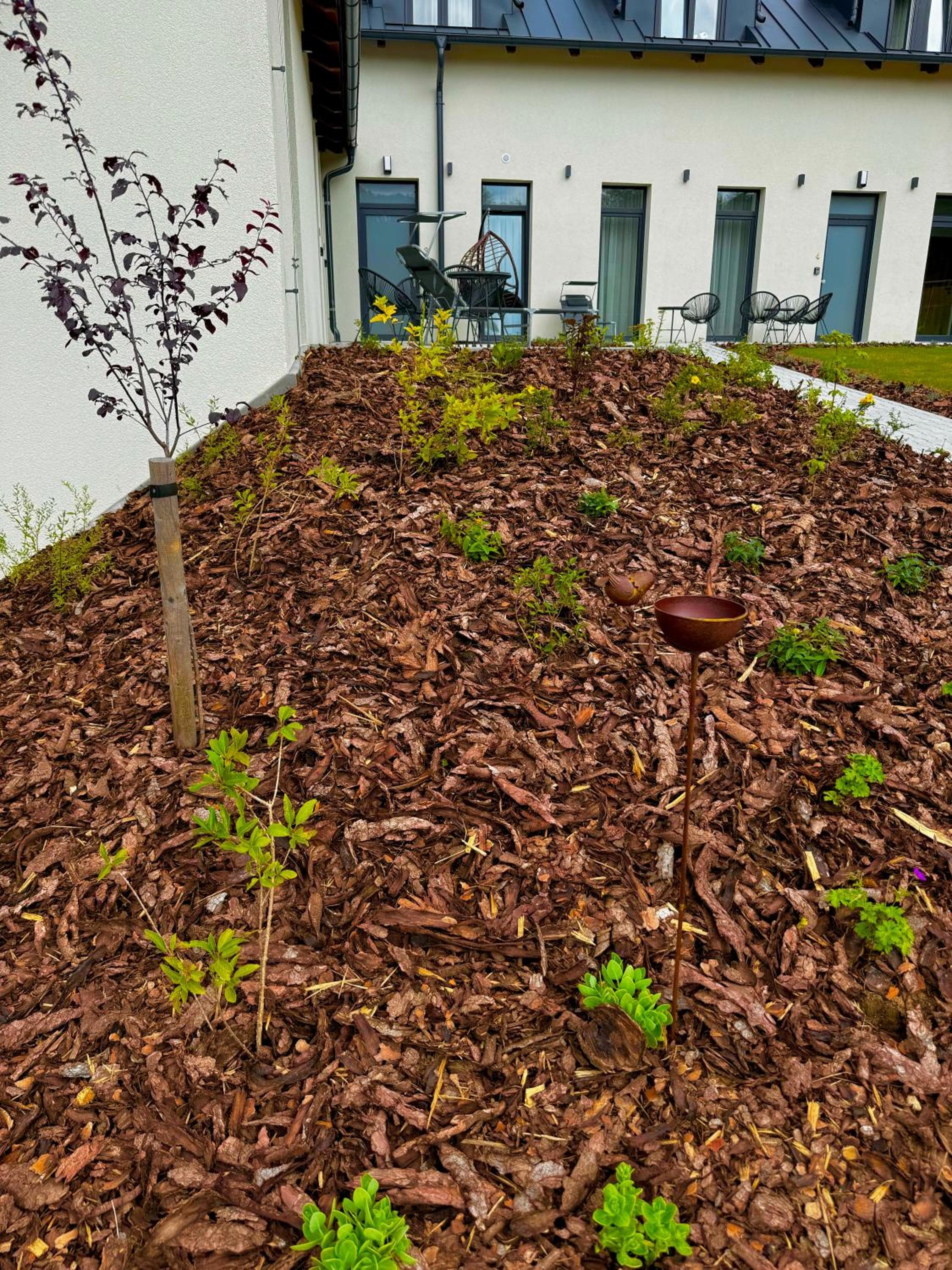 Paseky Wellness Apartments Resort - bazén, sauna, vířivka, Nové Město na Moravě, photo 3