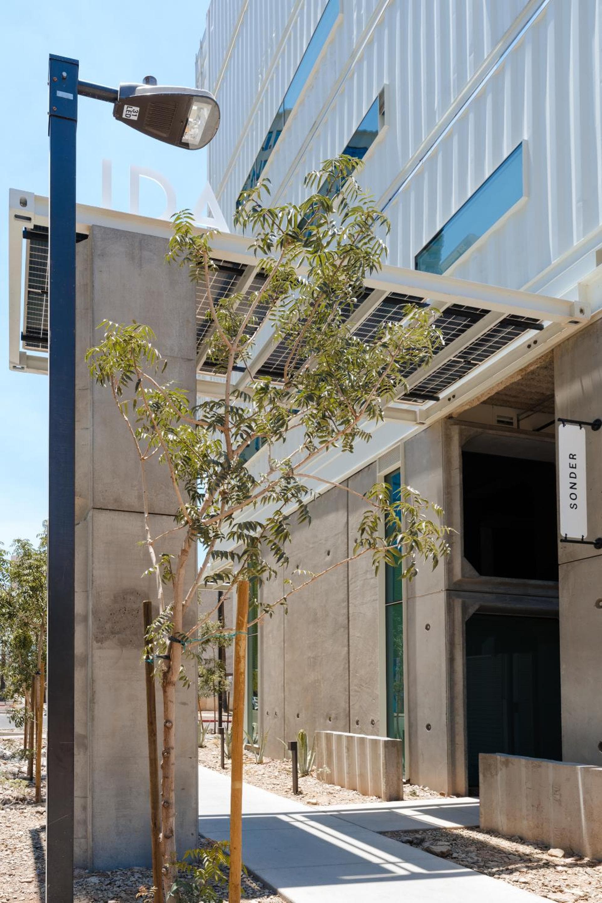 Sonder Ida, Phoenix, photo 5