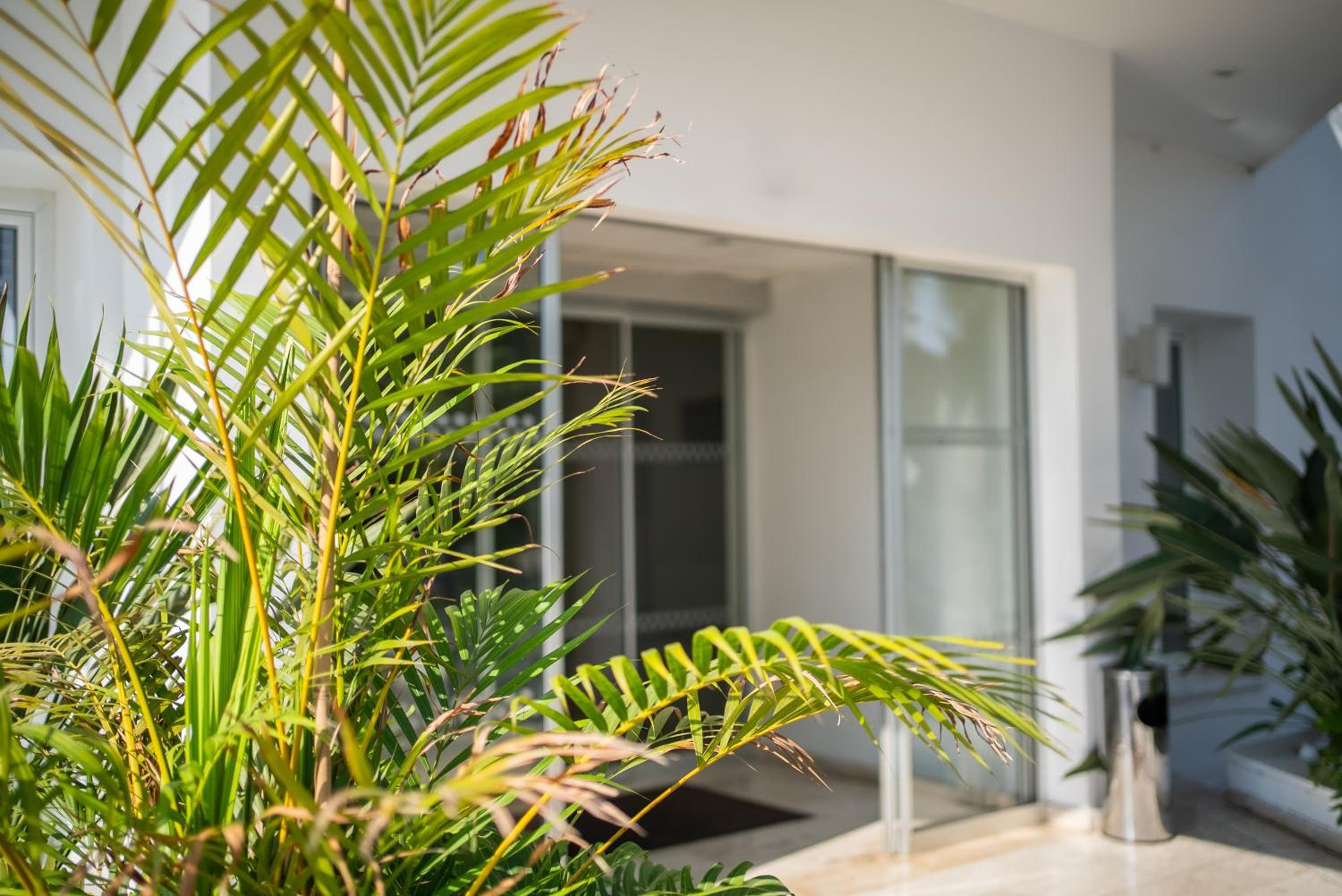 Liquid Hotel Apartments, Ayia Napa, photo 4