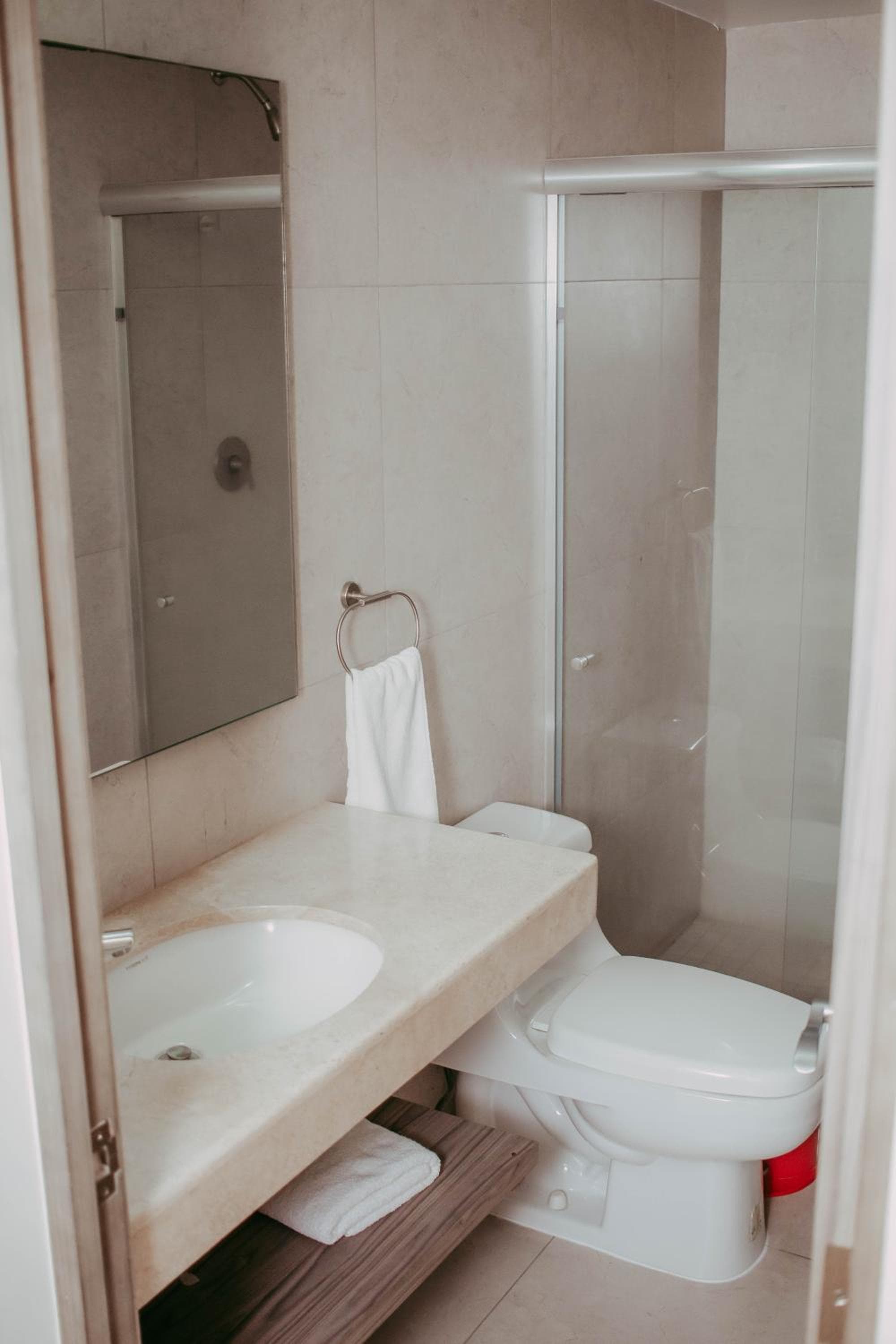 Millenium Plaza & Suites, San Luis Potosí, photo 5