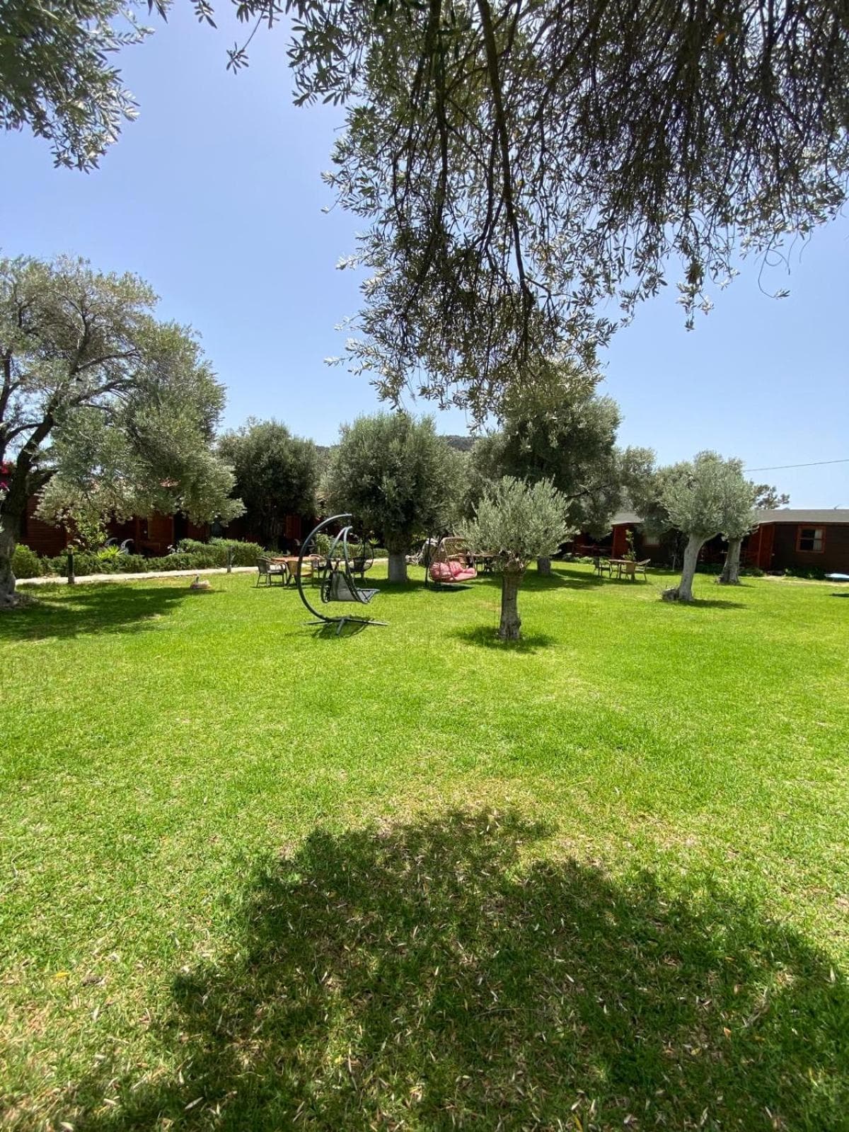 Suzi'nin Bahçesi Bungalov Evler, Datca, photo 6