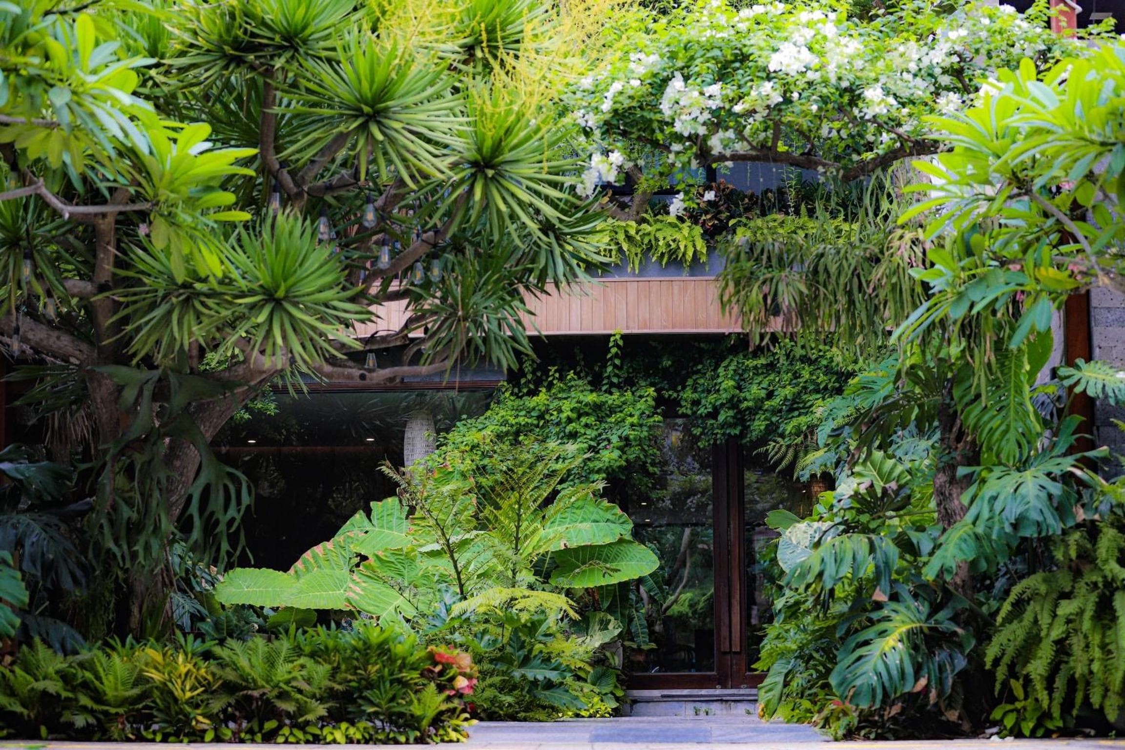 K House Apartment Danang Beach, Da Nang