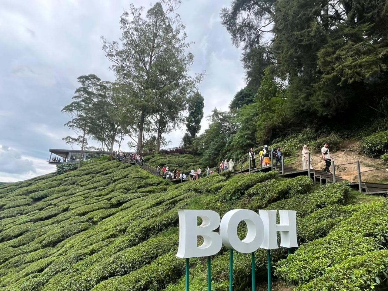 The Retreat, Mountain n Sunrise view Hilltop Hotel Apartment in Cameron Highlands, Cameron Highlands, photo 5