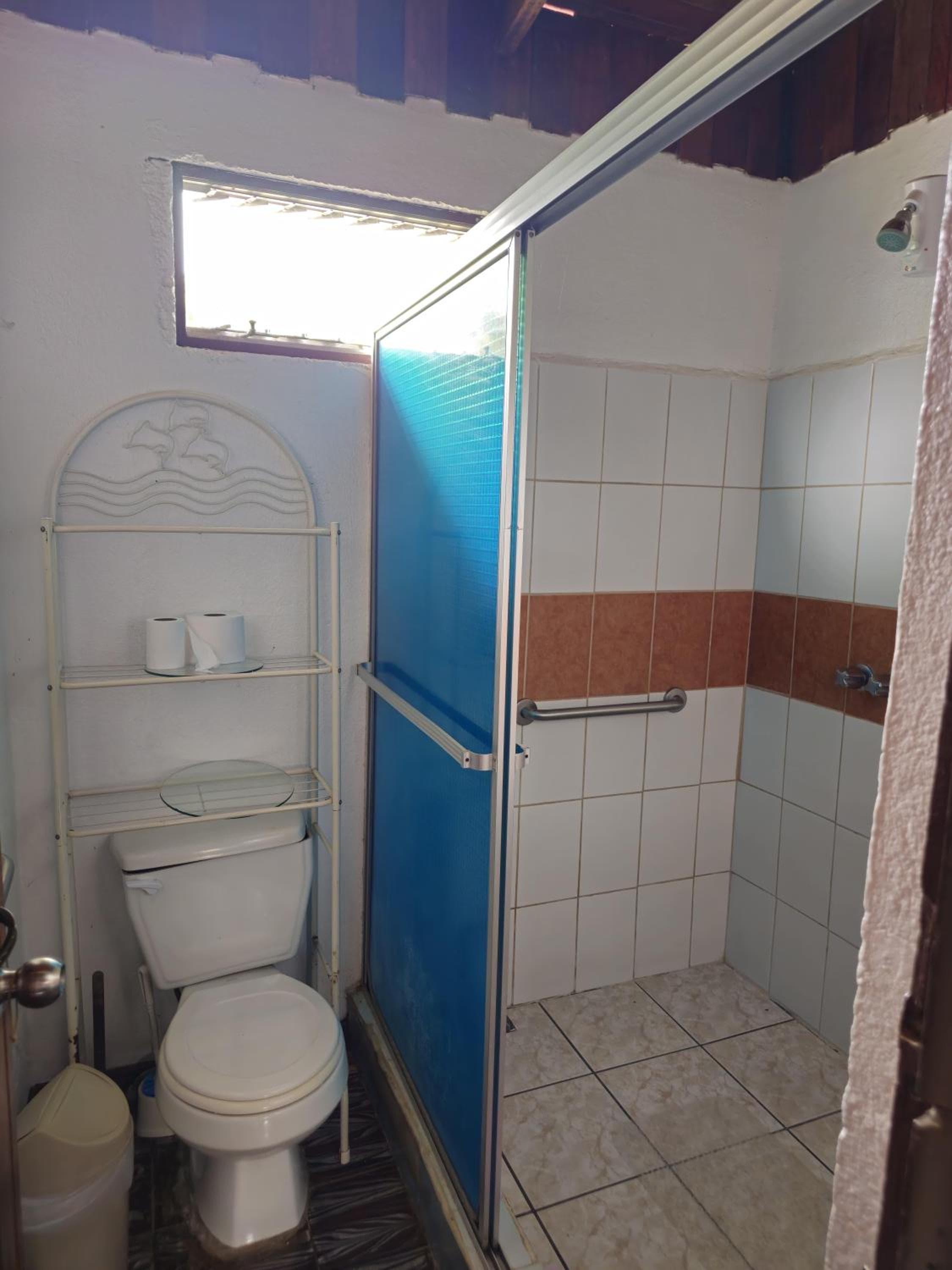 Cabinas Selva Verde, Monteverde Costa Rica, photo 5