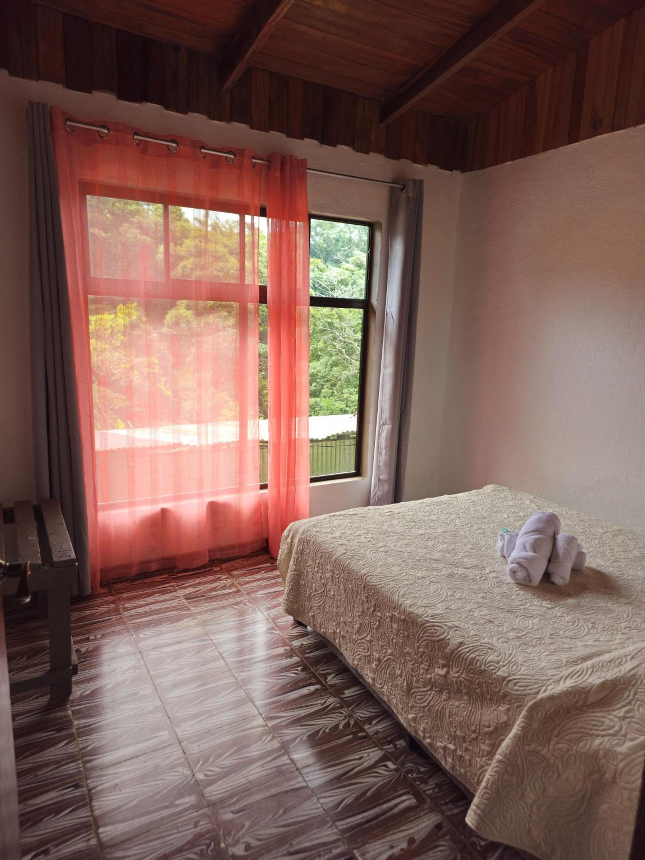 Cabinas Selva Verde, Monteverde Costa Rica, photo 6