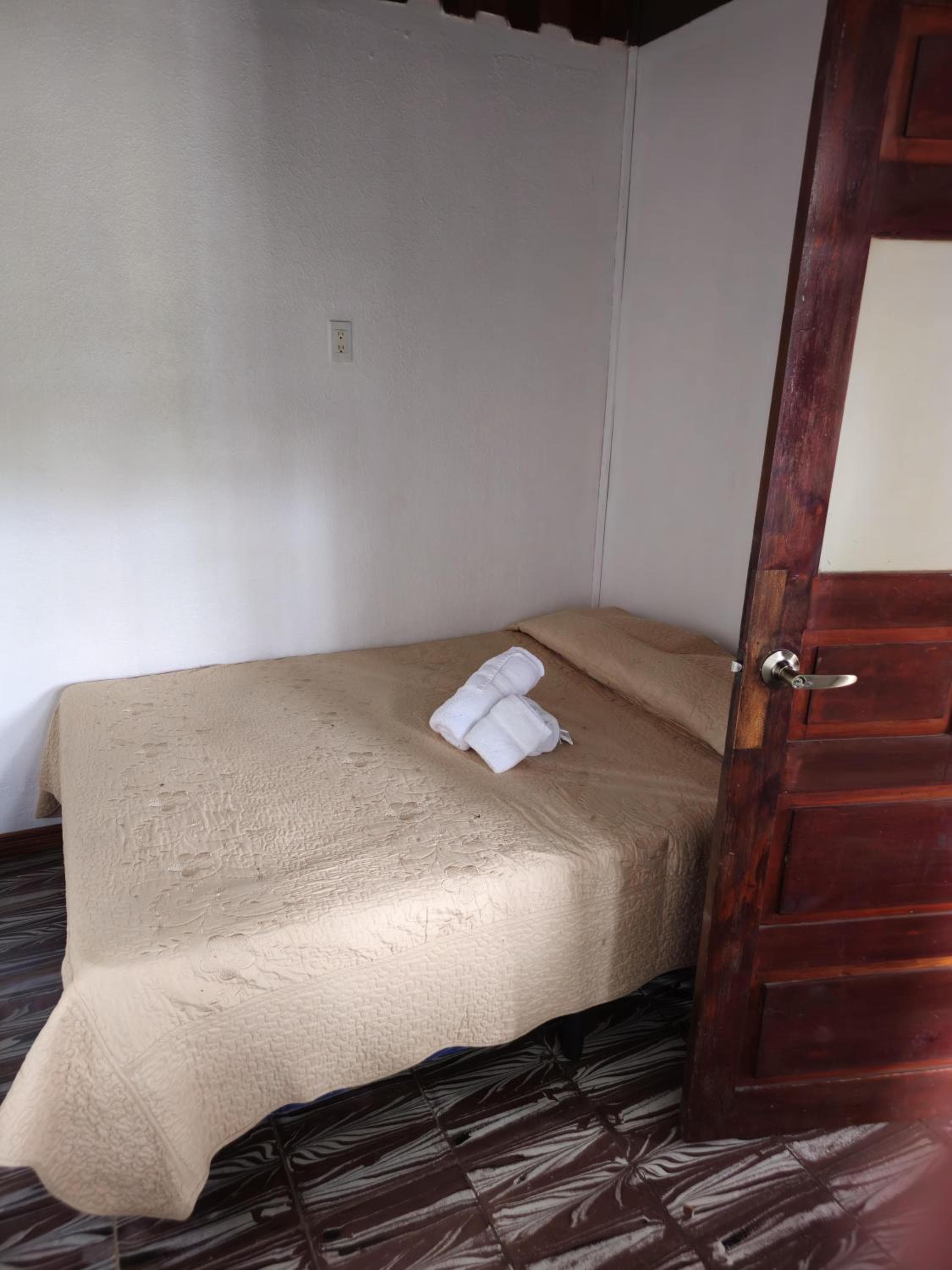 Cabinas Selva Verde, Monteverde Costa Rica, photo 3