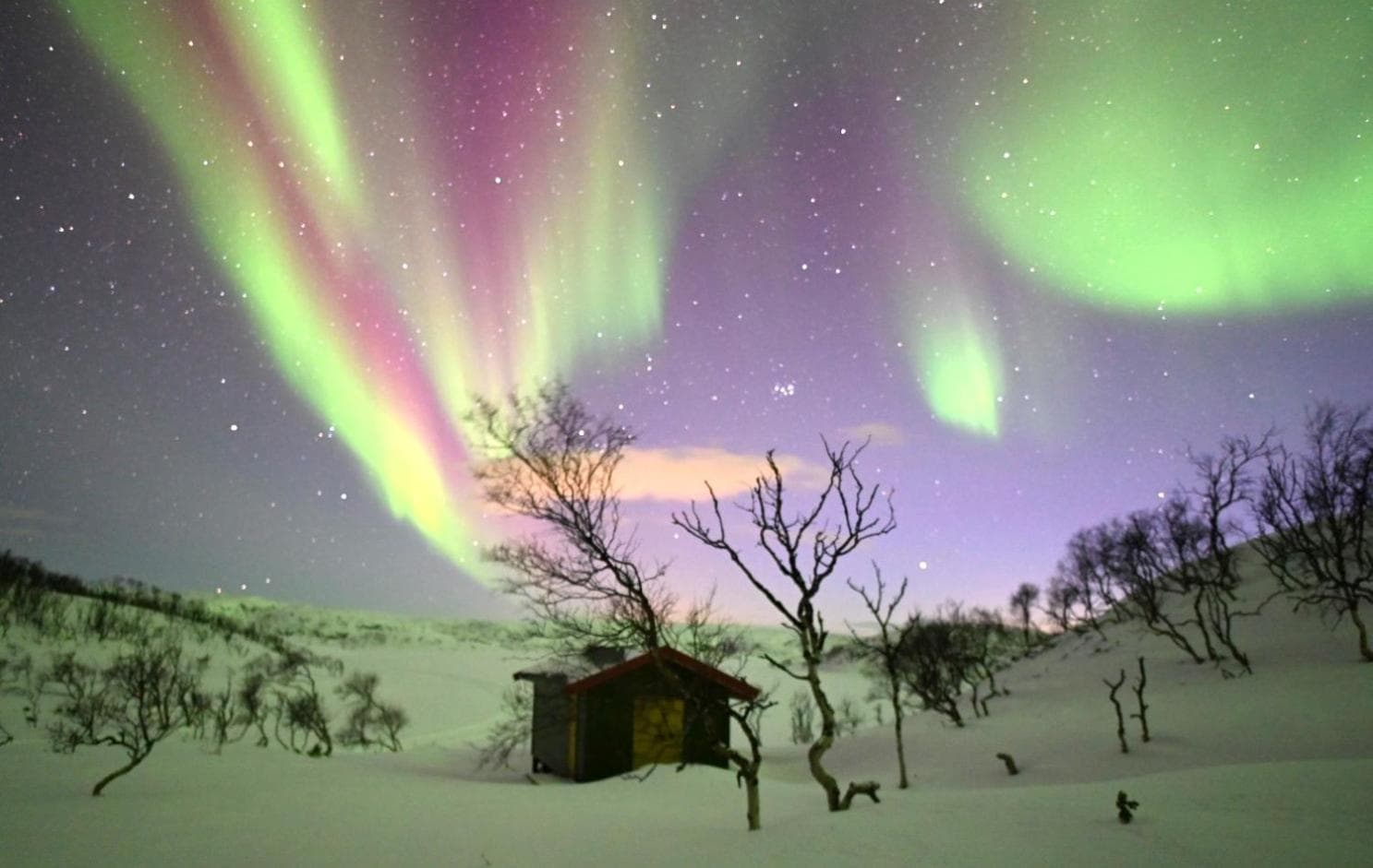 Åtte Årstider Lodge, Neiden, photo 2