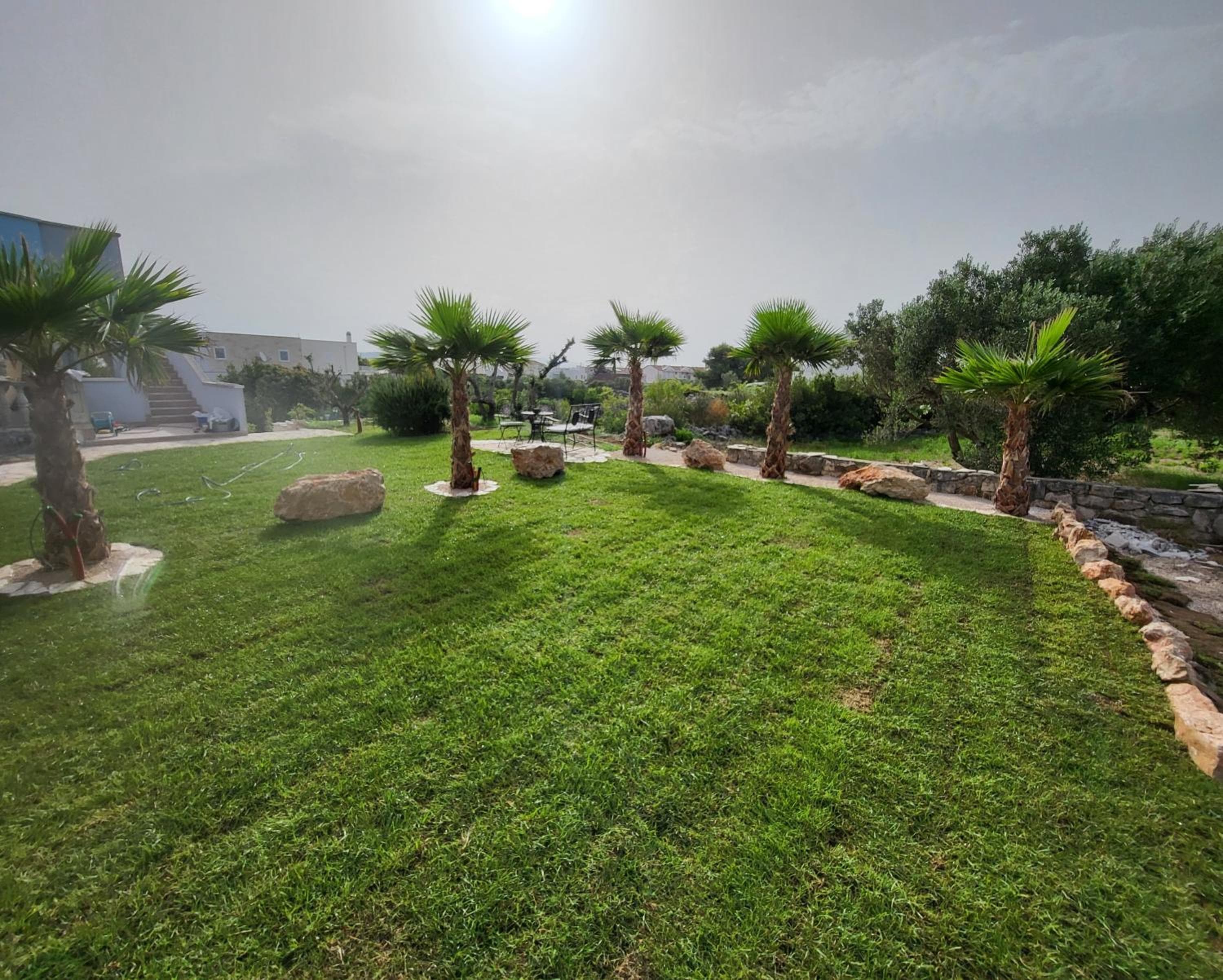 Murter Palms Resort Apartments, Murter, photo 6