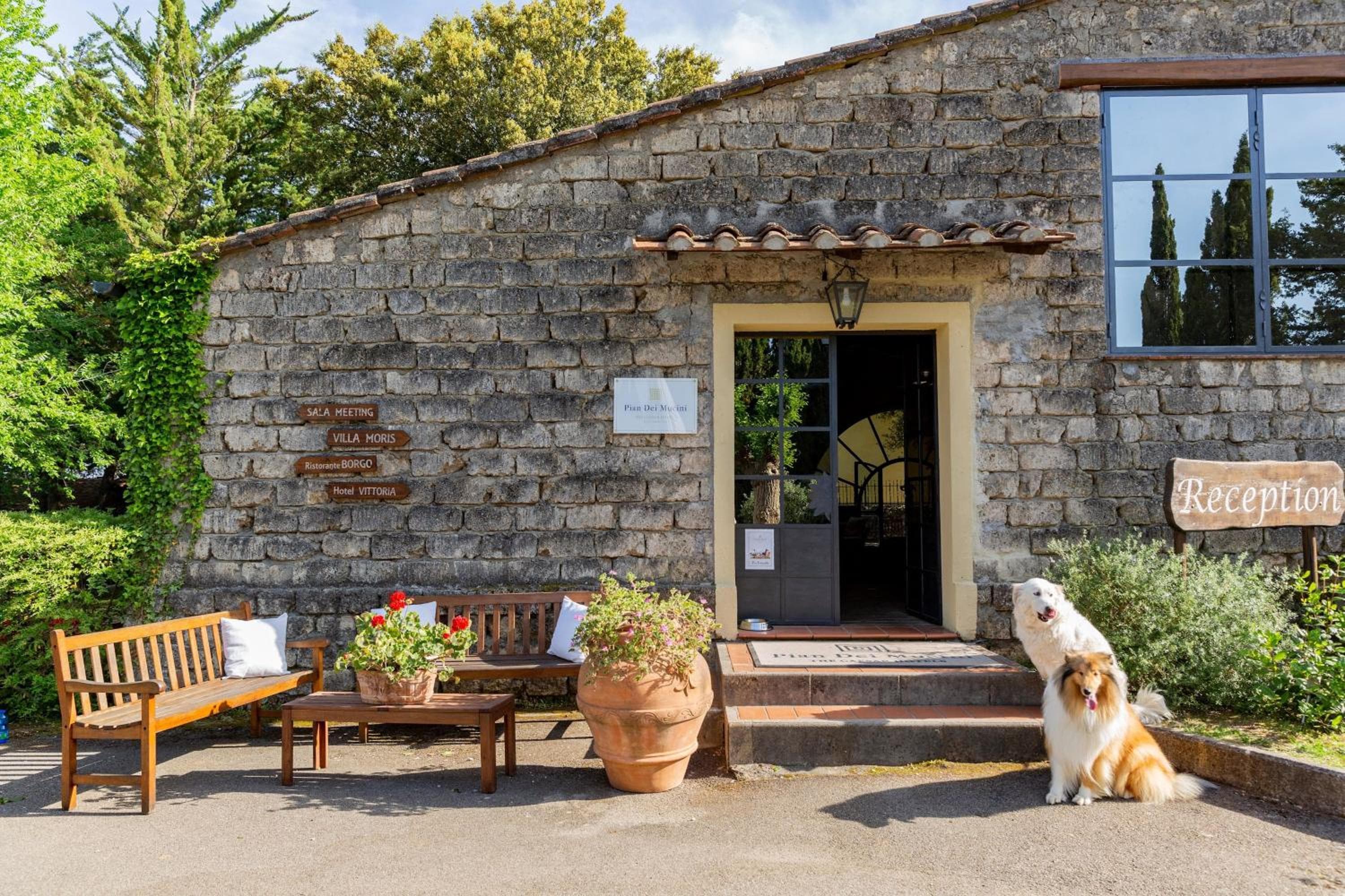 Residence Pian dei Mucini, Podere Pian Mucini, photo 2