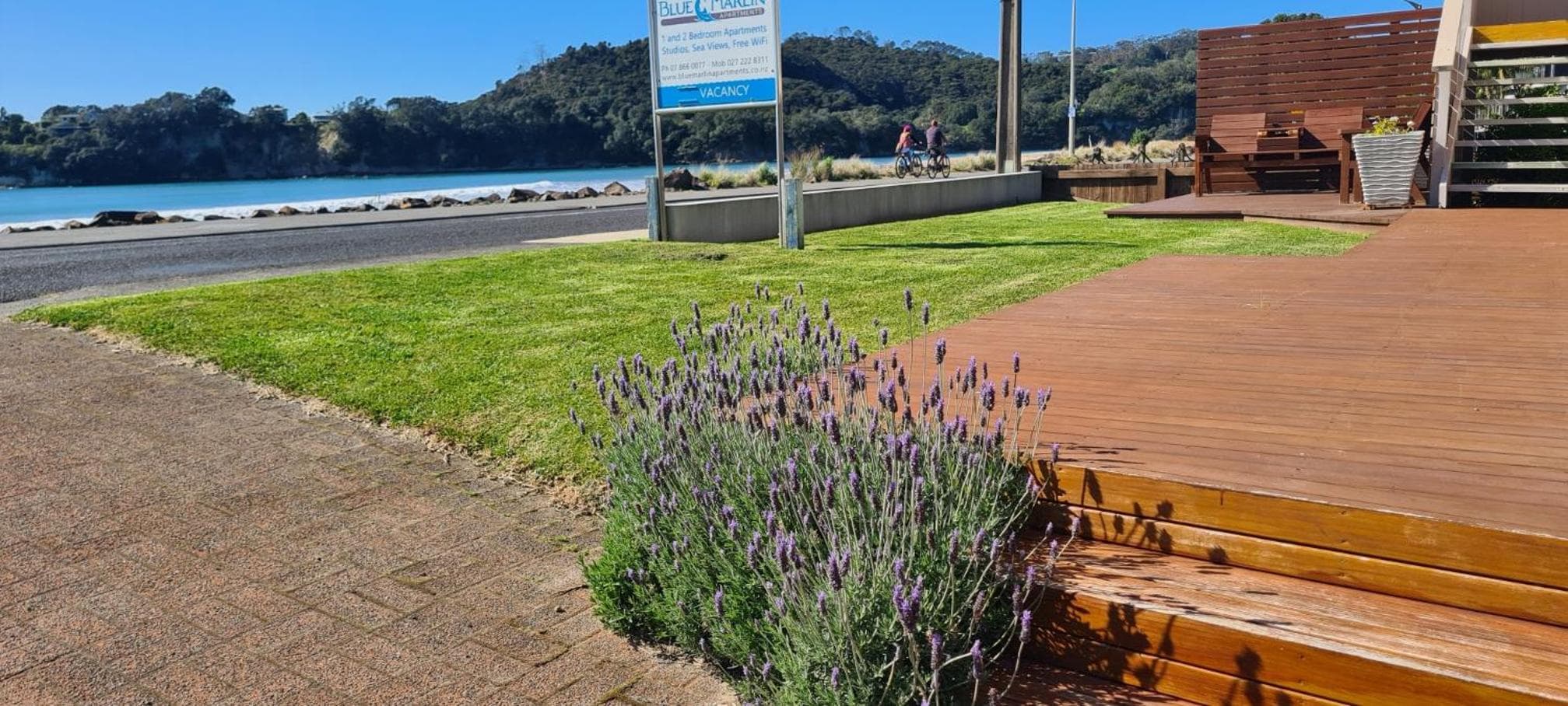 Blue Marlin Apartments, Whitianga, photo 3