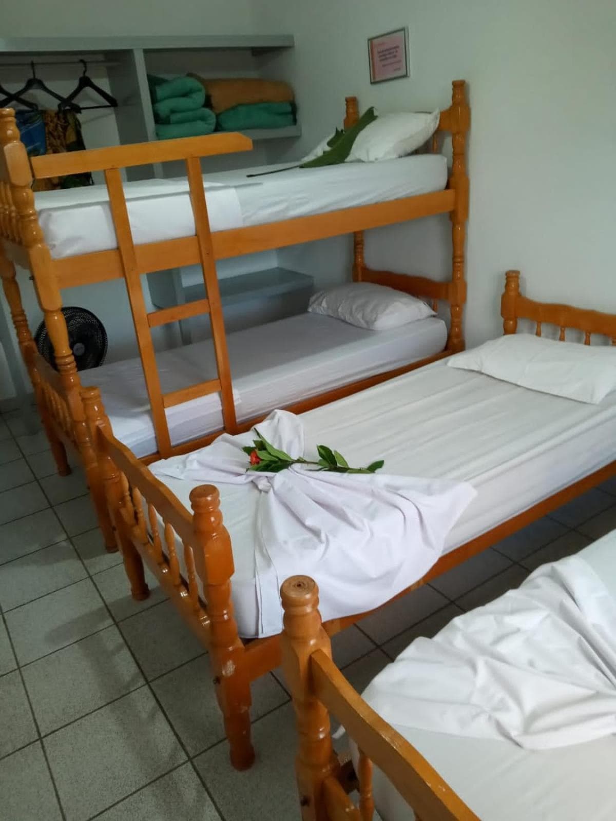 SAMFBAS - Praia da Enseada - Guaruja, Sao Amaro Island, photo 6