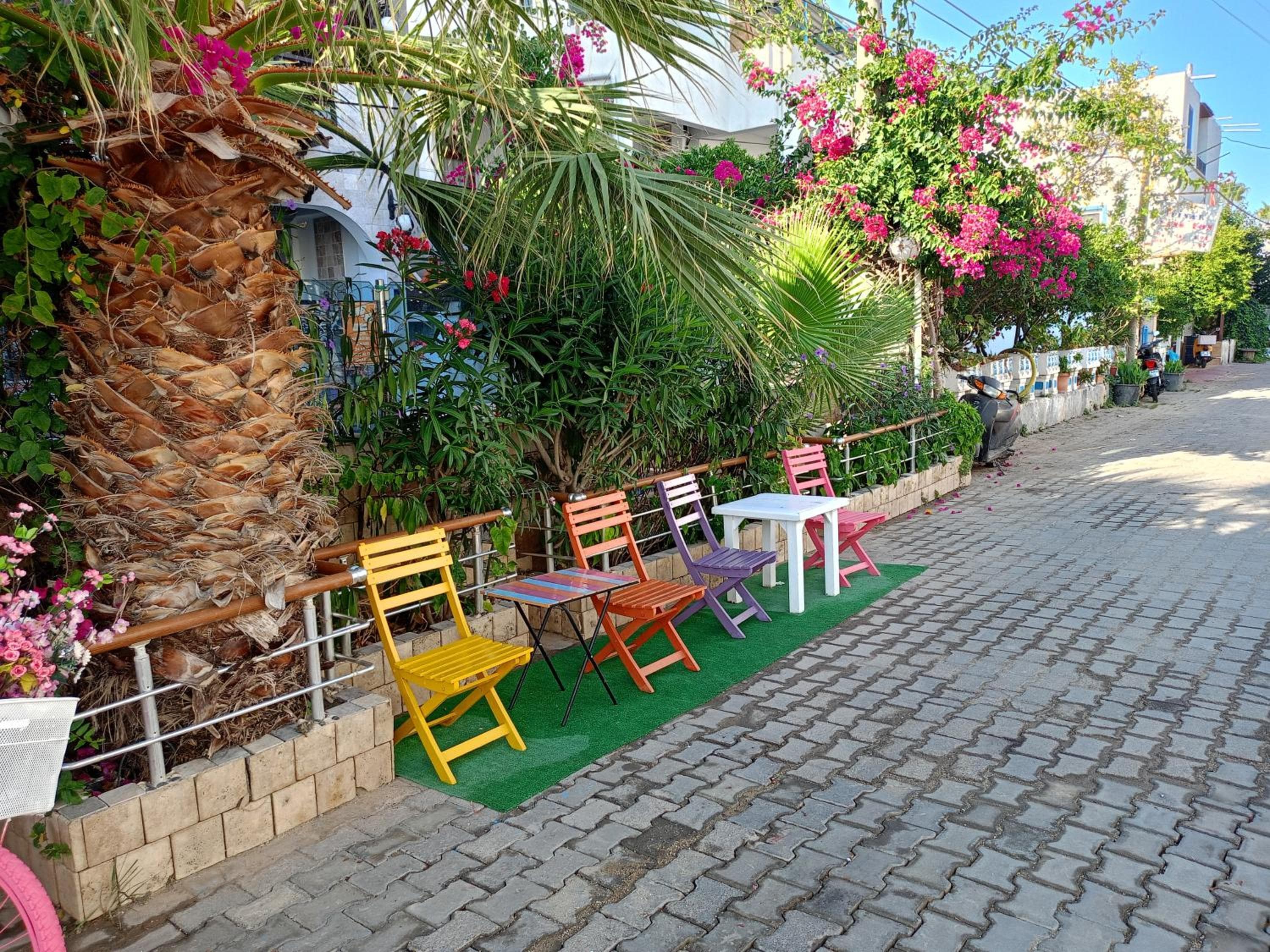 Çağlar my hause apart otel, Turgutreis, photo 5