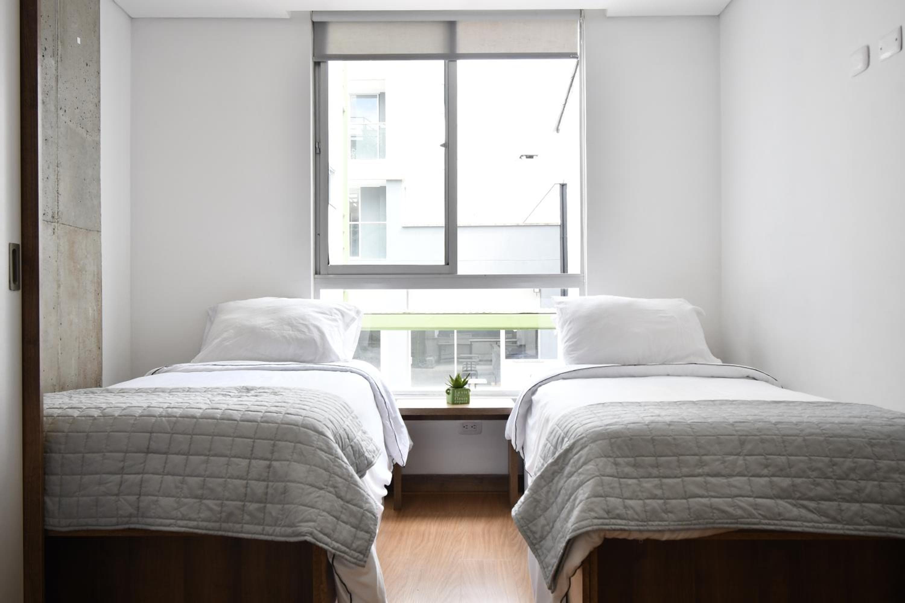 Ulivin Coliving, Manizales, photo 4