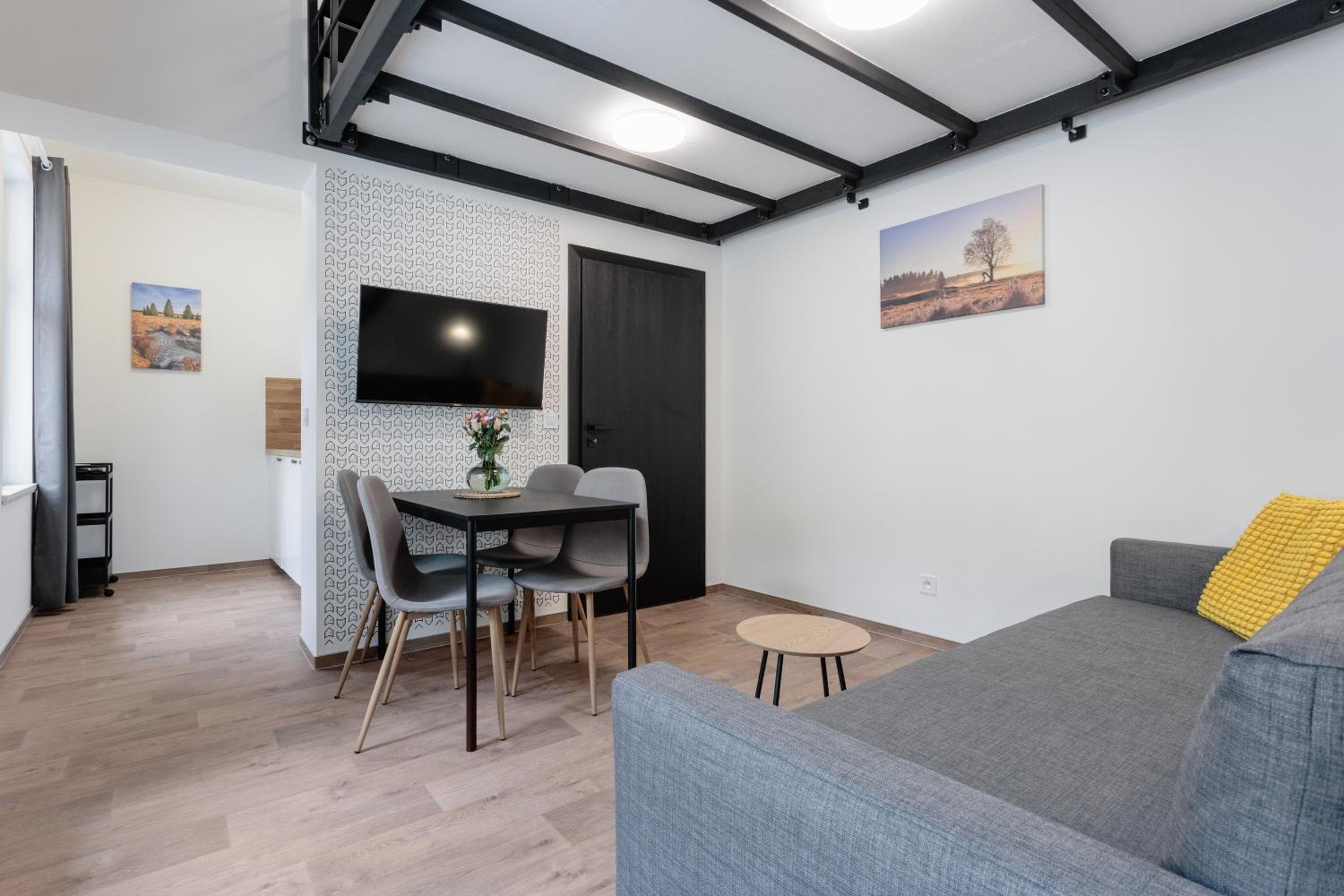 Apartmány Stříbrná Liška, Jáchymov, photo 2