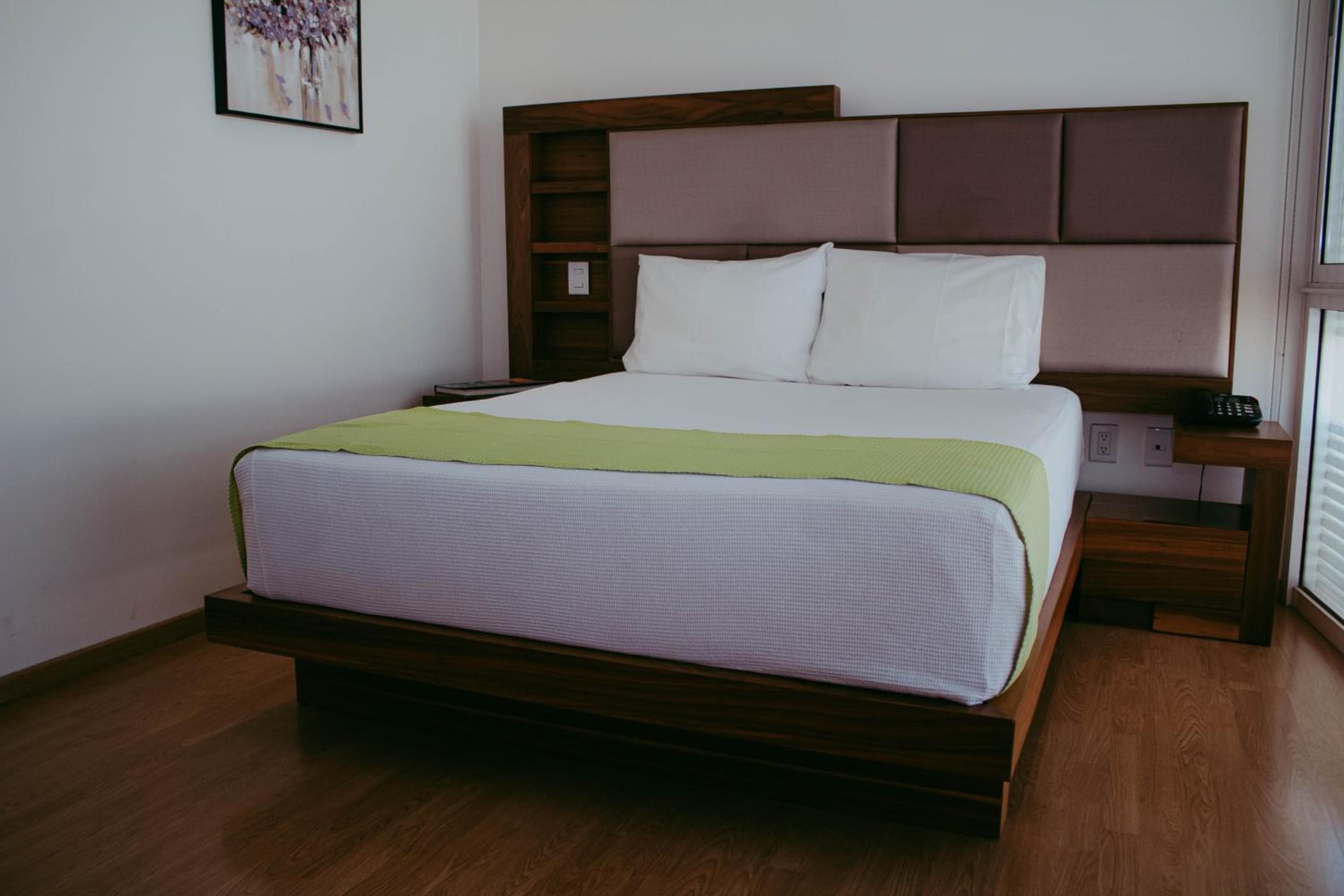 Millenium Plaza & Suites, San Luis Potosí, photo 2