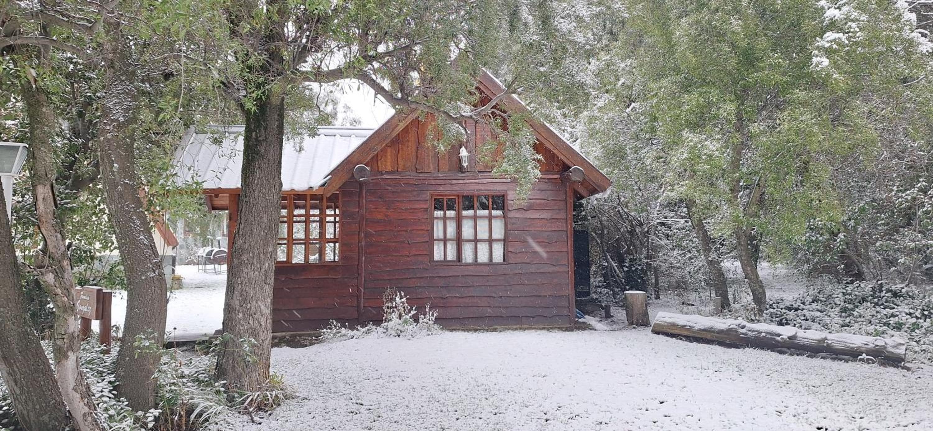 De las Rosas Bariloche, San Carlos de Bariloche, photo 5