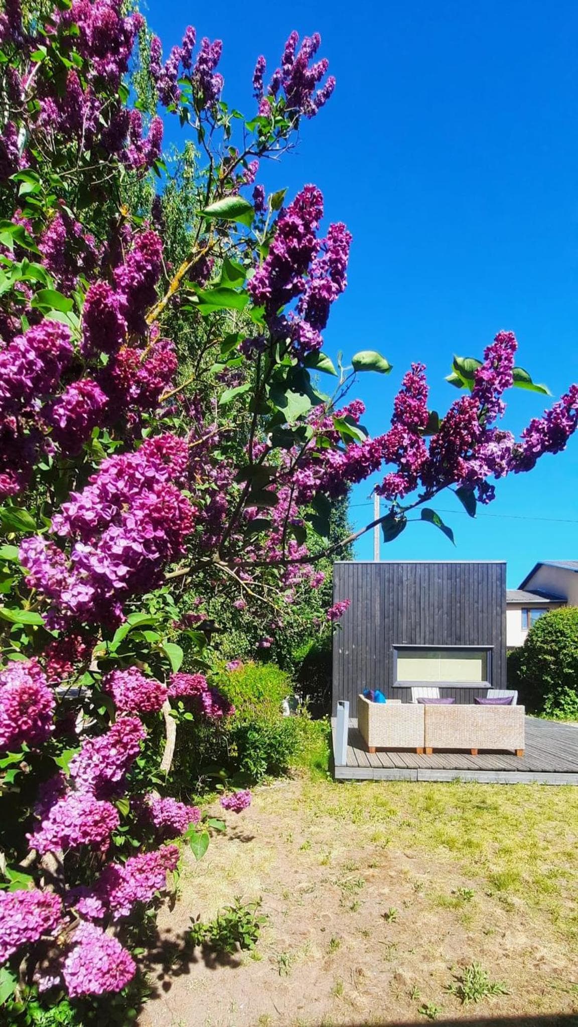 Tiny Home, Tartu, photo 3