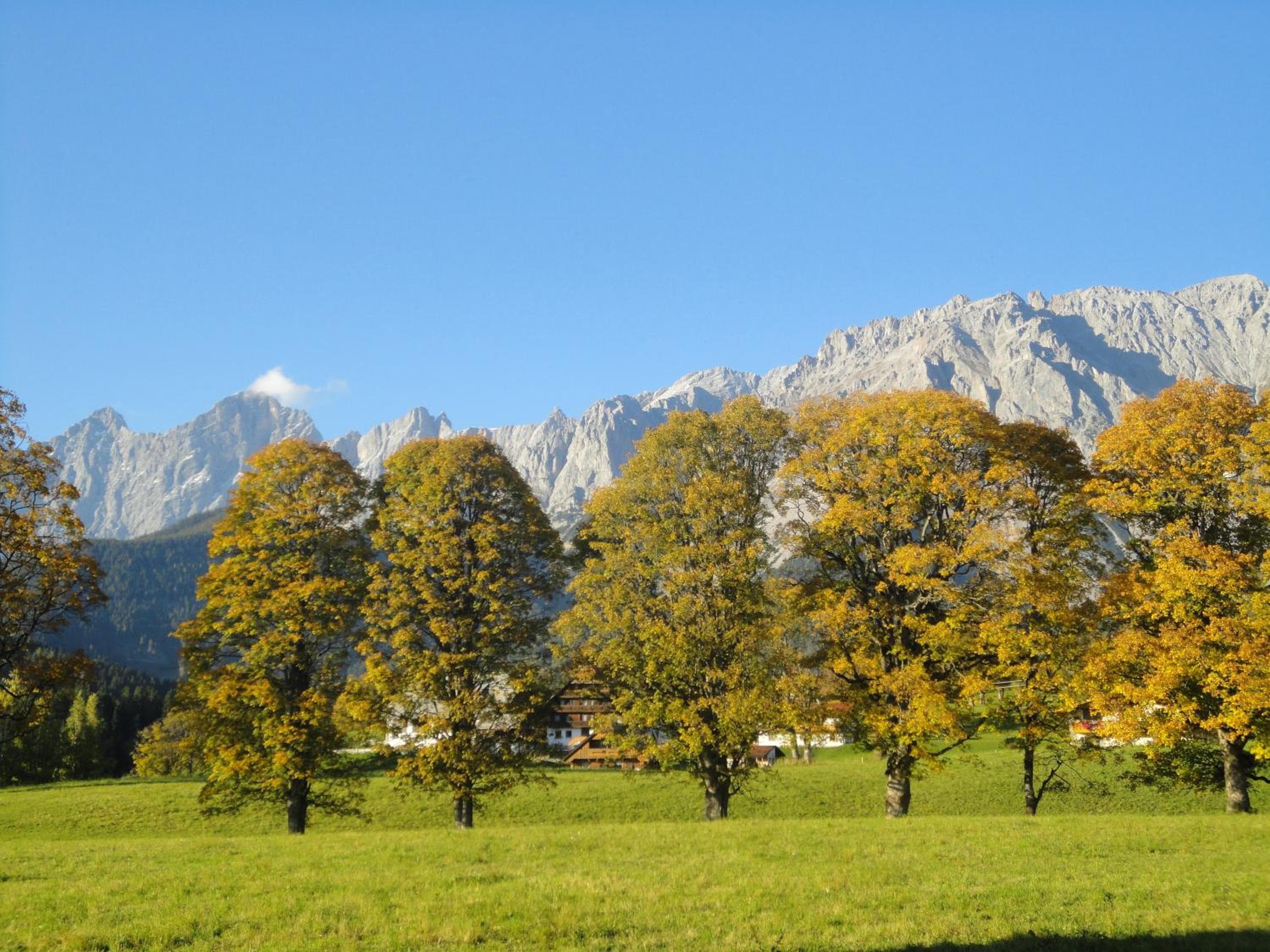 Appartement Sonnengarten, Ramsau am Dachstein, photo 5