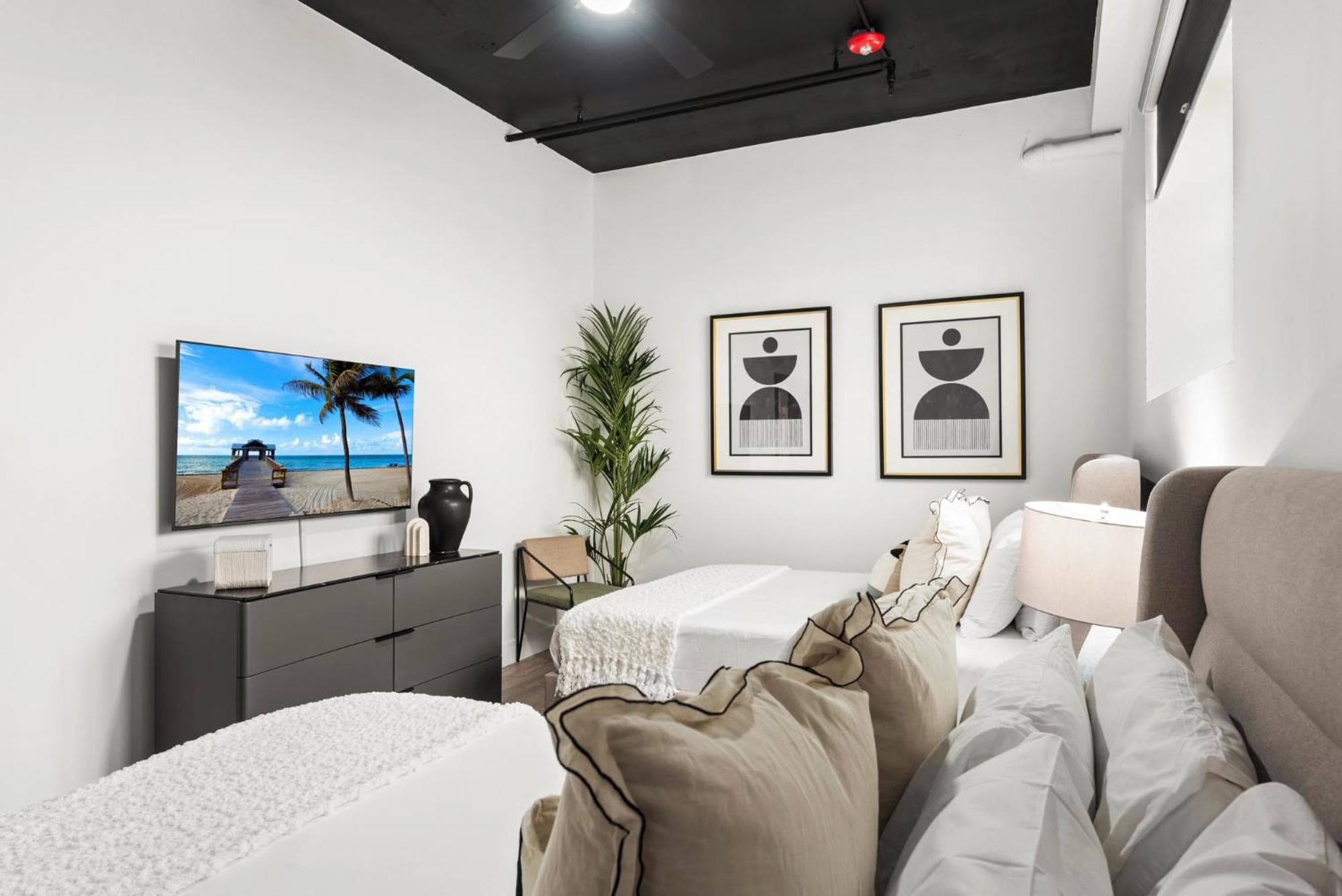 Luxuri Suites, Miami Beach, photo 4