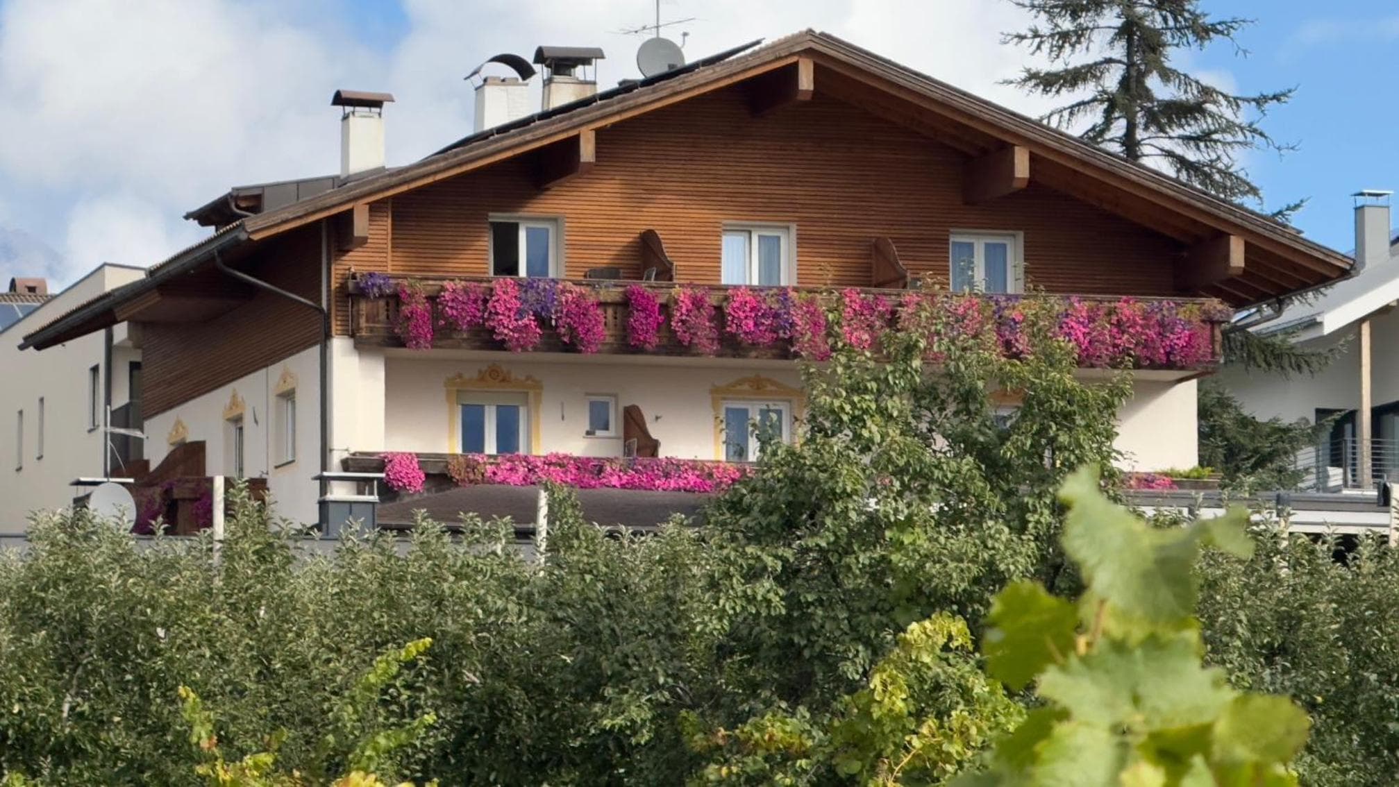 Tirolerhof - panoramic apartments, Naz-Sciaves