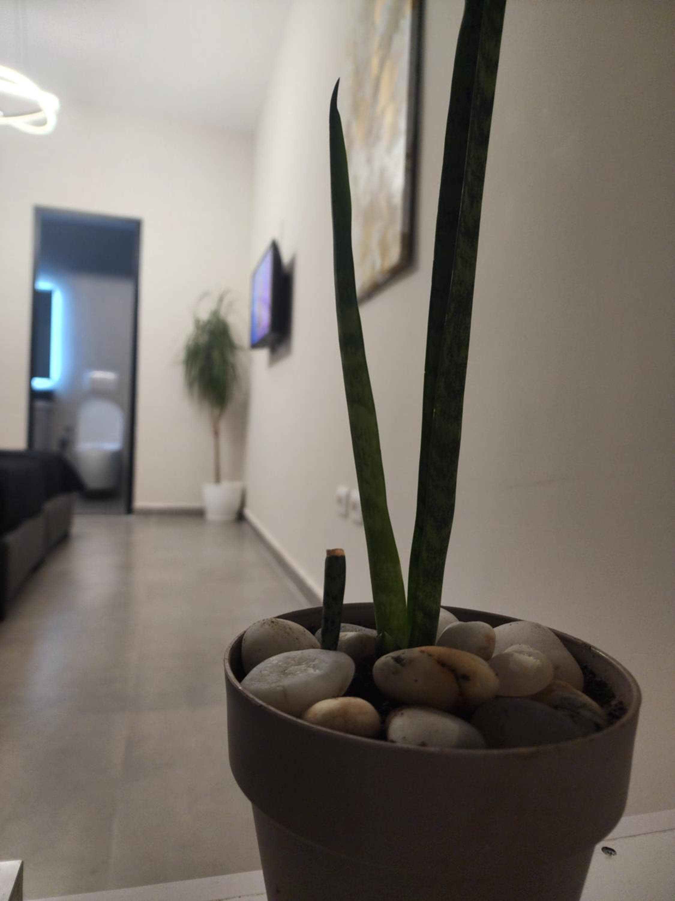 Apartament Tirana Contact, Tirana