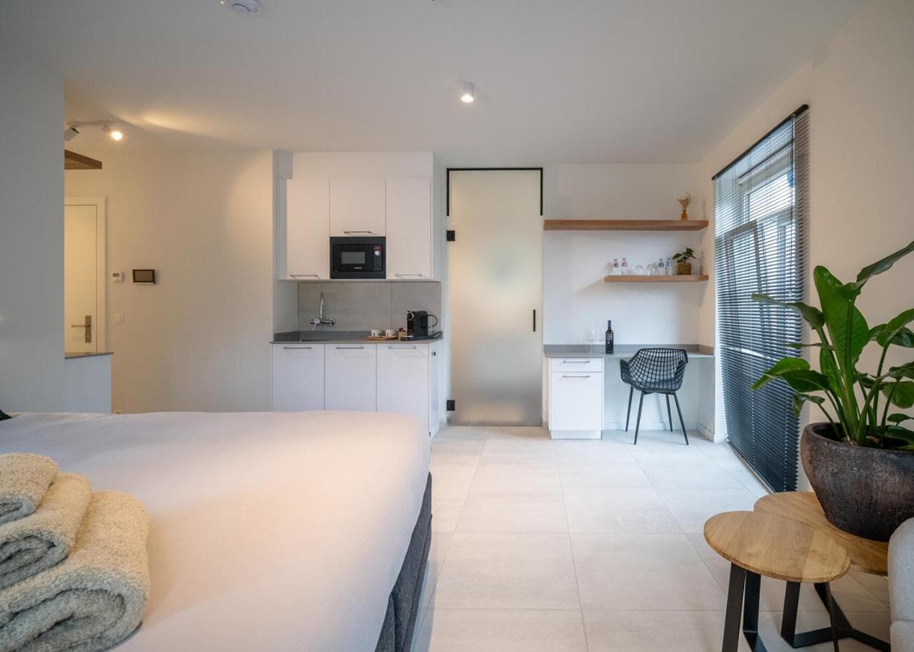 Mavue kamer met terras, Mechelen, photo 4