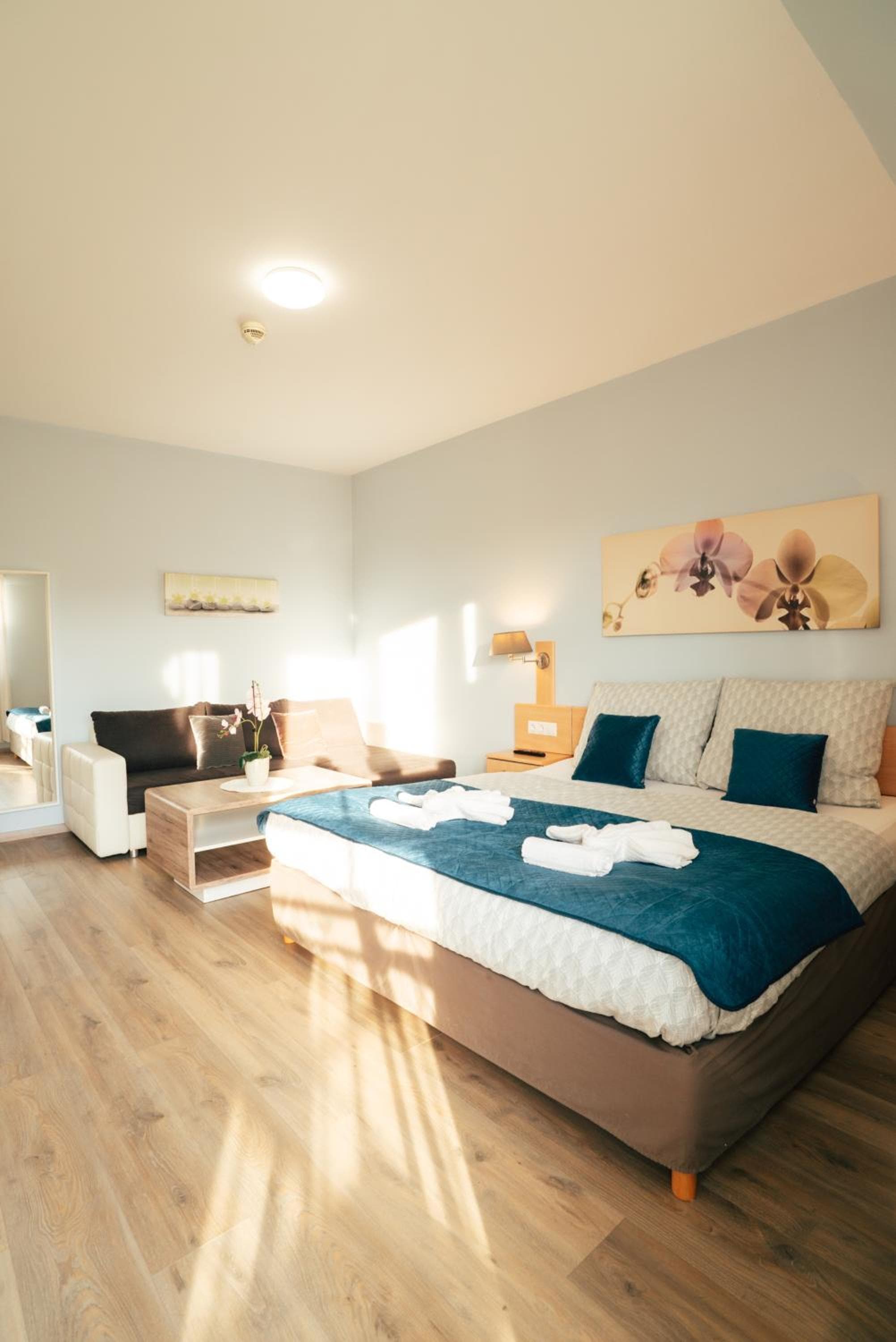 Orchidea Wellness Apartman, Zalakaros, photo 5