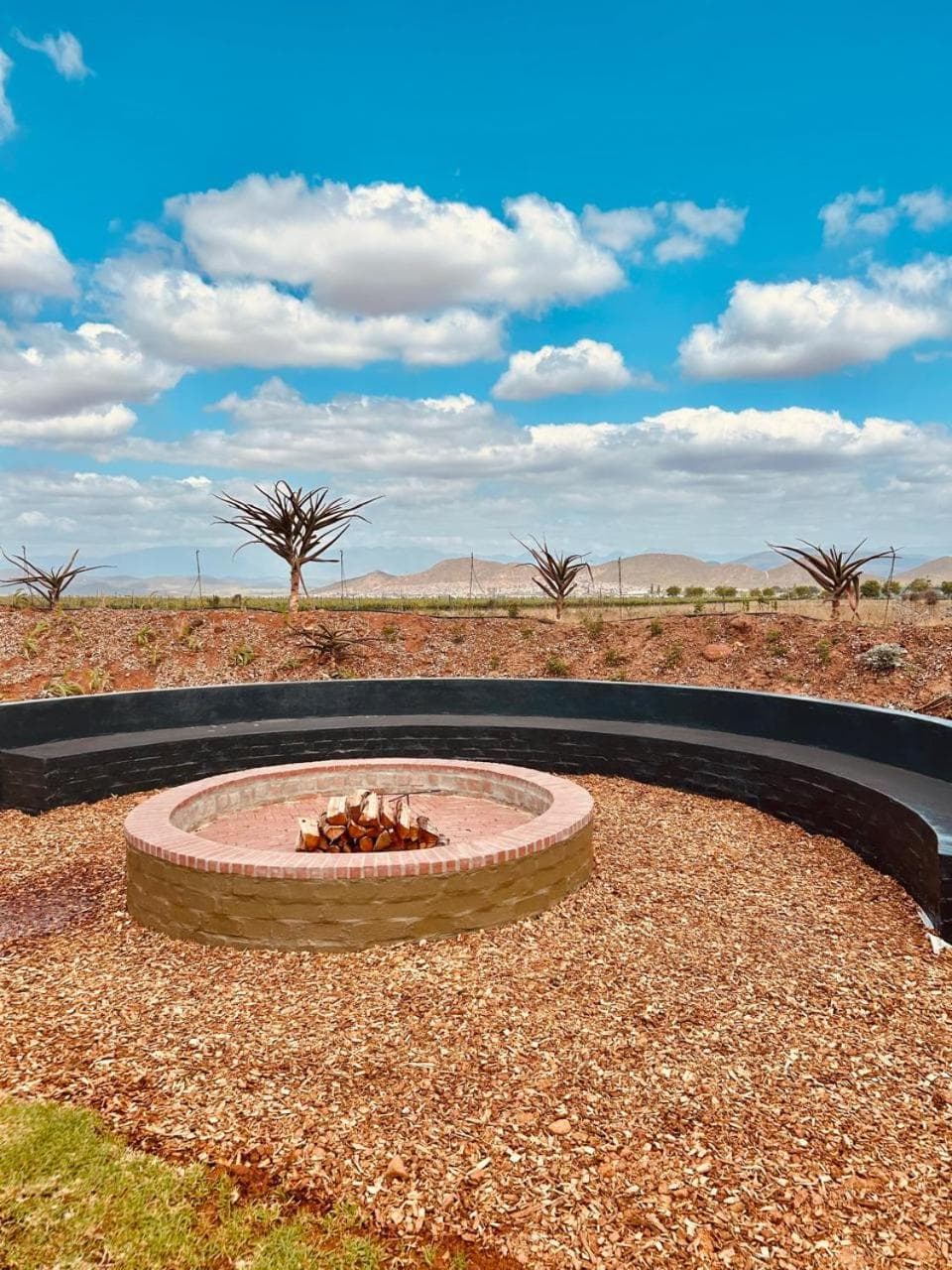 Cellar Pods Red, Robertson, photo 4