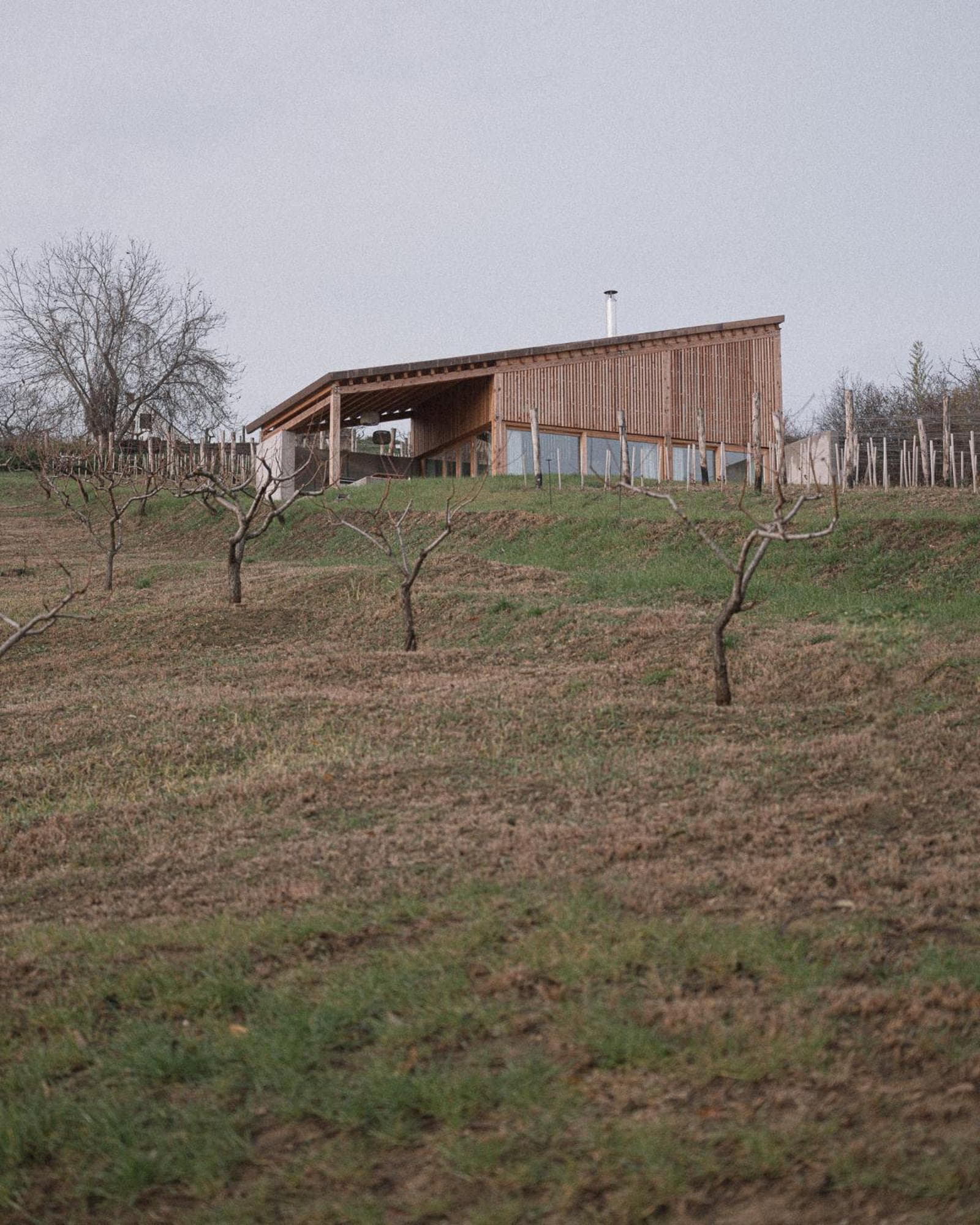 Szegzárd - the lodge, Szekszárd, photo 3