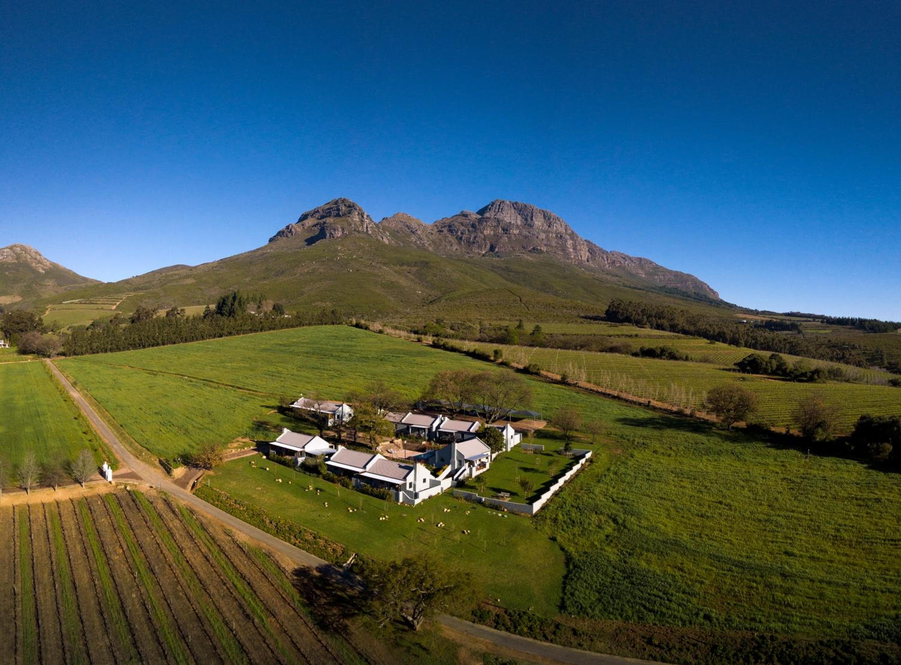 Mont Angelis, Stellenbosch