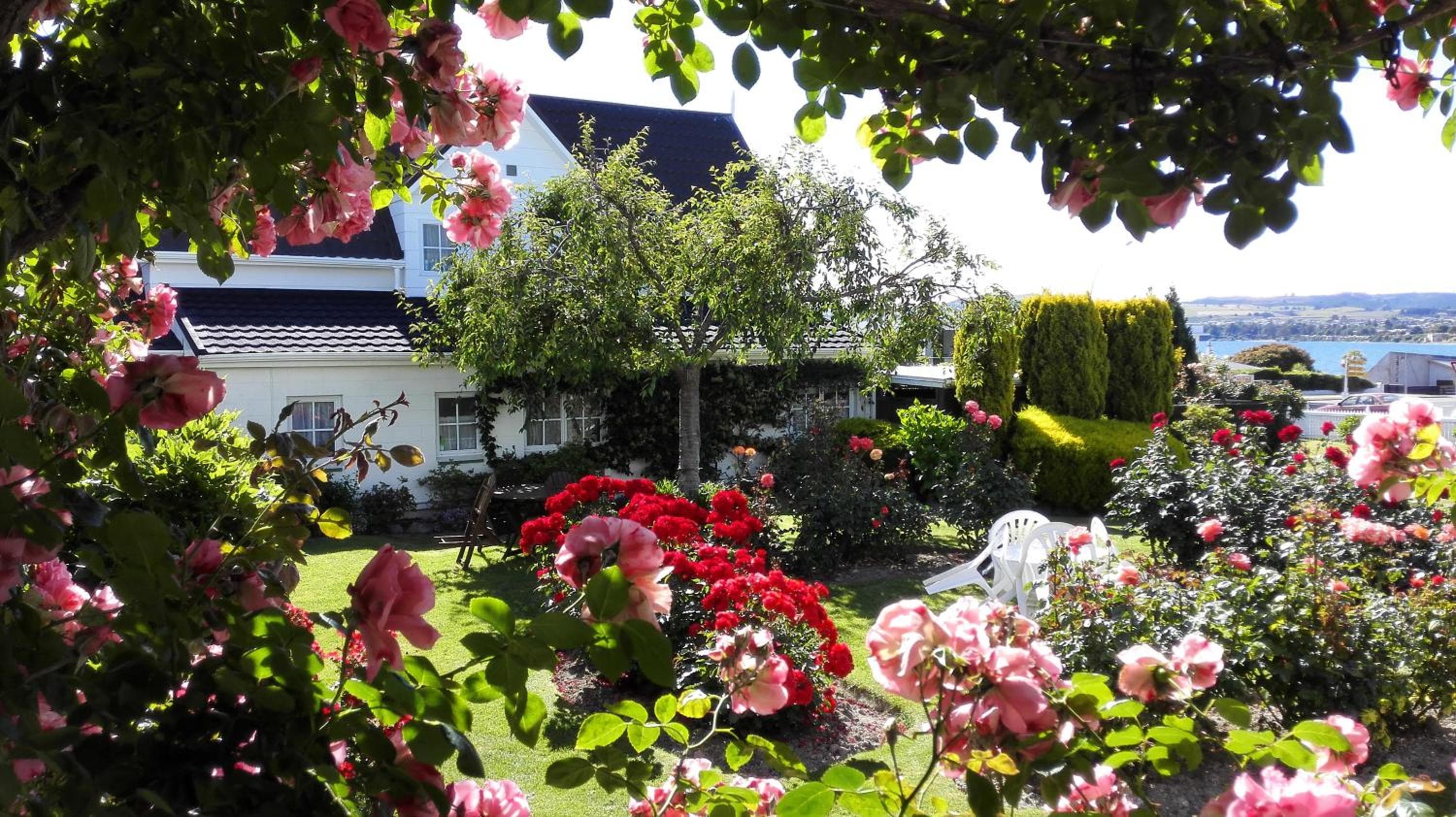 Phoenix Thermal Resort - Taupo, Taupo, photo 4