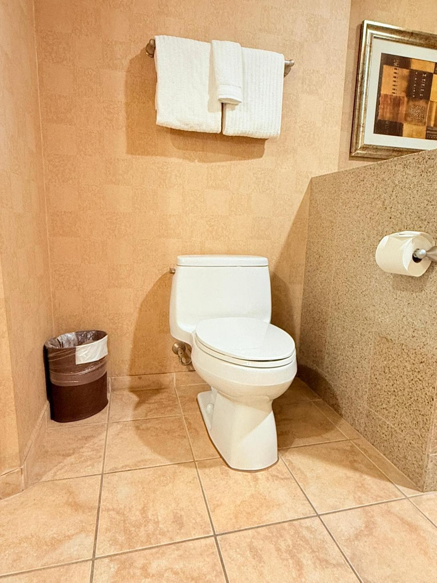 Idyllic Suite - Las Vegas, Las Vegas, photo 6
