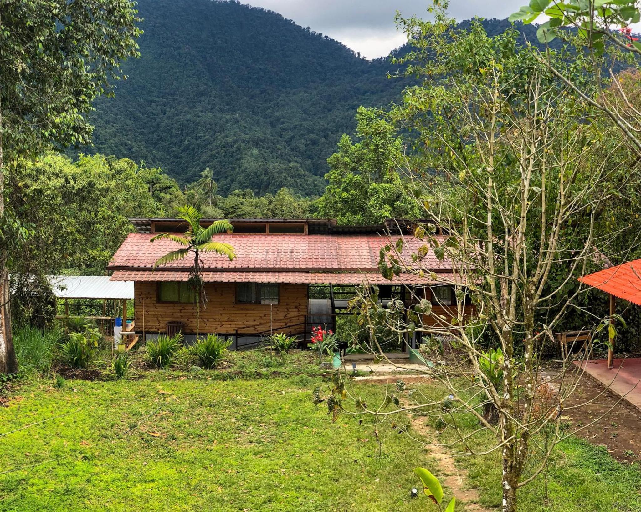 Sendero de las aves, Mindo